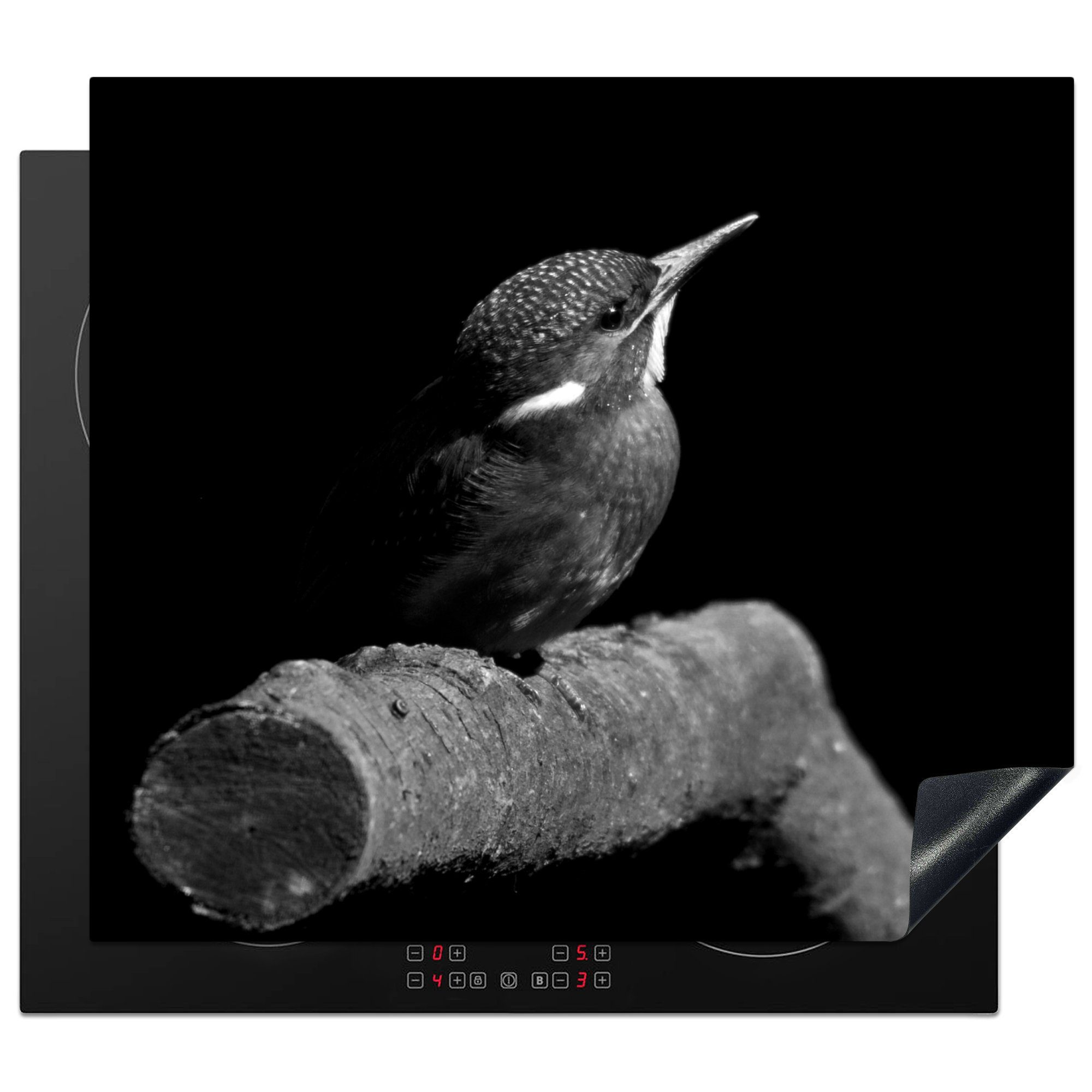 MuchoWow Herdblende-/Abdeckplatte Porträt weiß, Eisvogels auf schwarzem schwarz Hintergrund tlg), und - nutzbar, Mobile Vinyl, Ceranfeldabdeckung Arbeitsfläche eines cm, (1 60x52