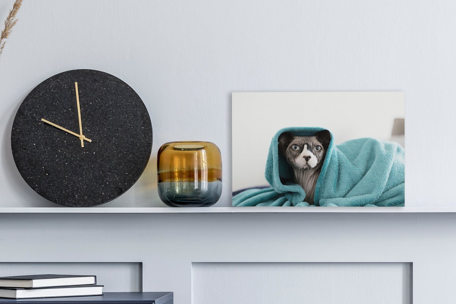 OneMillionCanvasses® Leinwandbild Sphynx-Katze unter einer cm Aufhängefertig, Wanddeko, Leinwandbilder, Decke, blauen Wandbild St), (1 30x20
