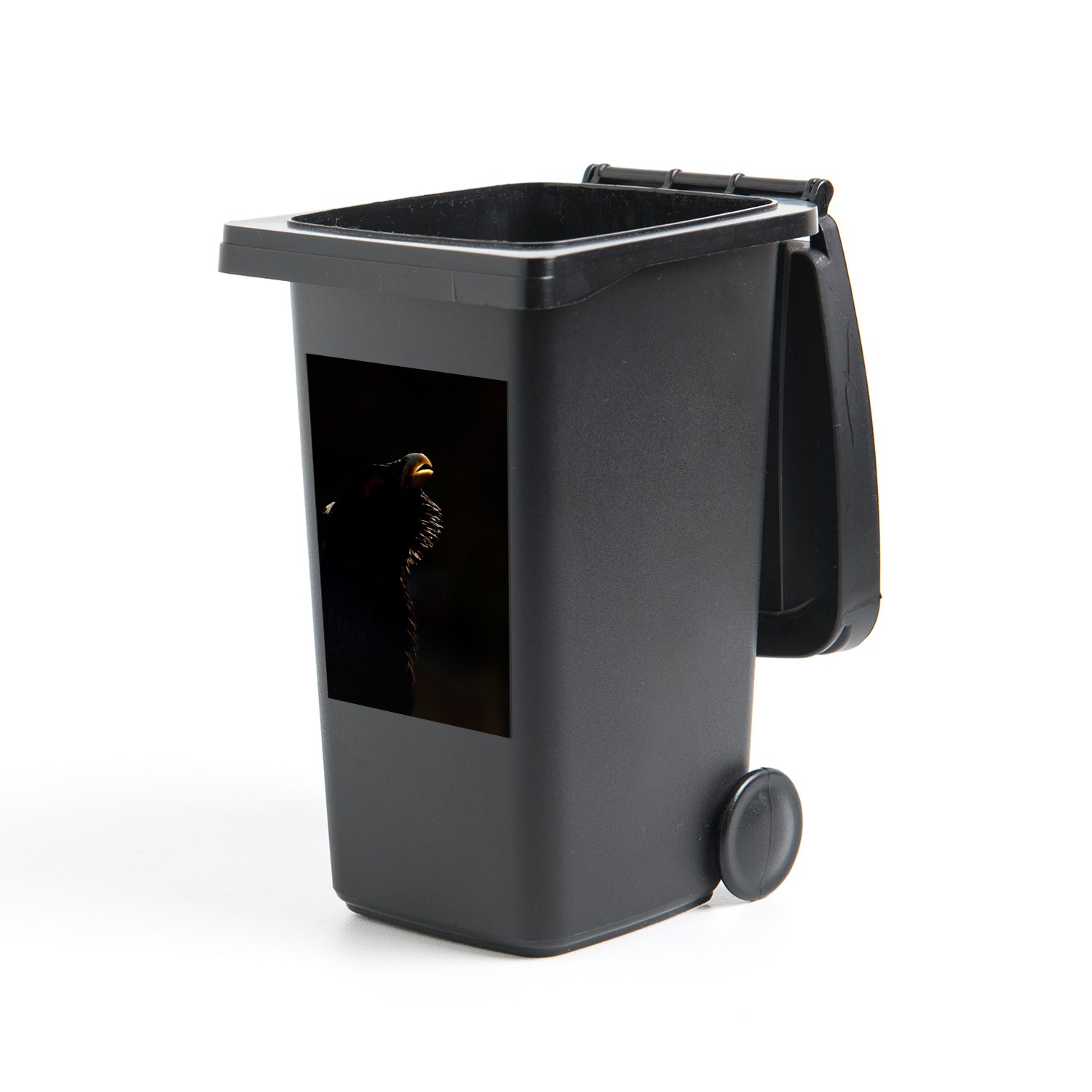MuchoWow Wandsticker Ein Porträtfoto eines Auerhahns auf schwarzem Hintergrund (1 St), Mülleimer-aufkleber, Mülltonne, Sticker, Container, Abfalbehälter