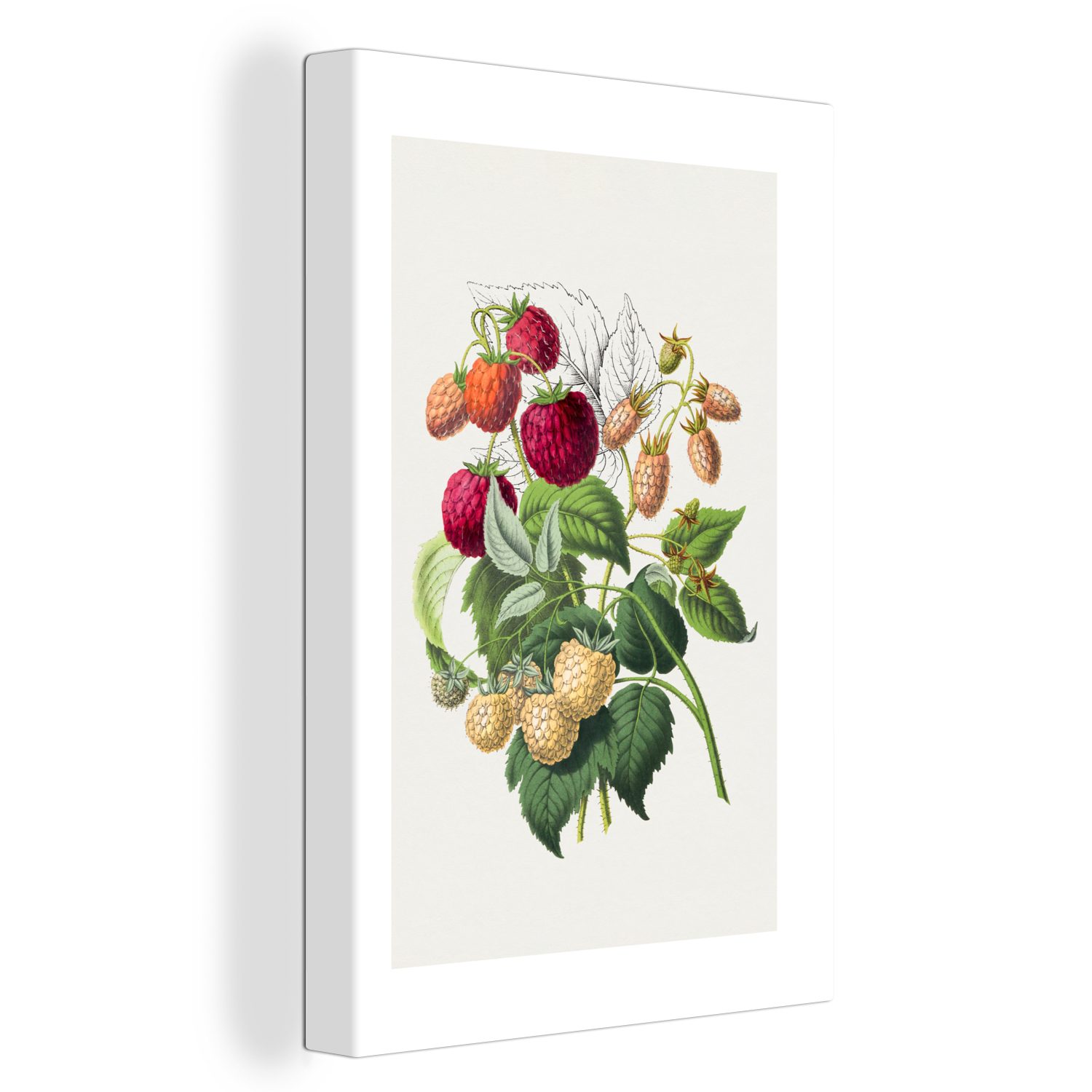 OneMillionCanvasses® Leinwandbild Himbeeren - Obst - Lebensmittel, (1 St), Leinwandbild fertig bespannt inkl. Zackenaufhänger, Gemälde, 20x30 cm
