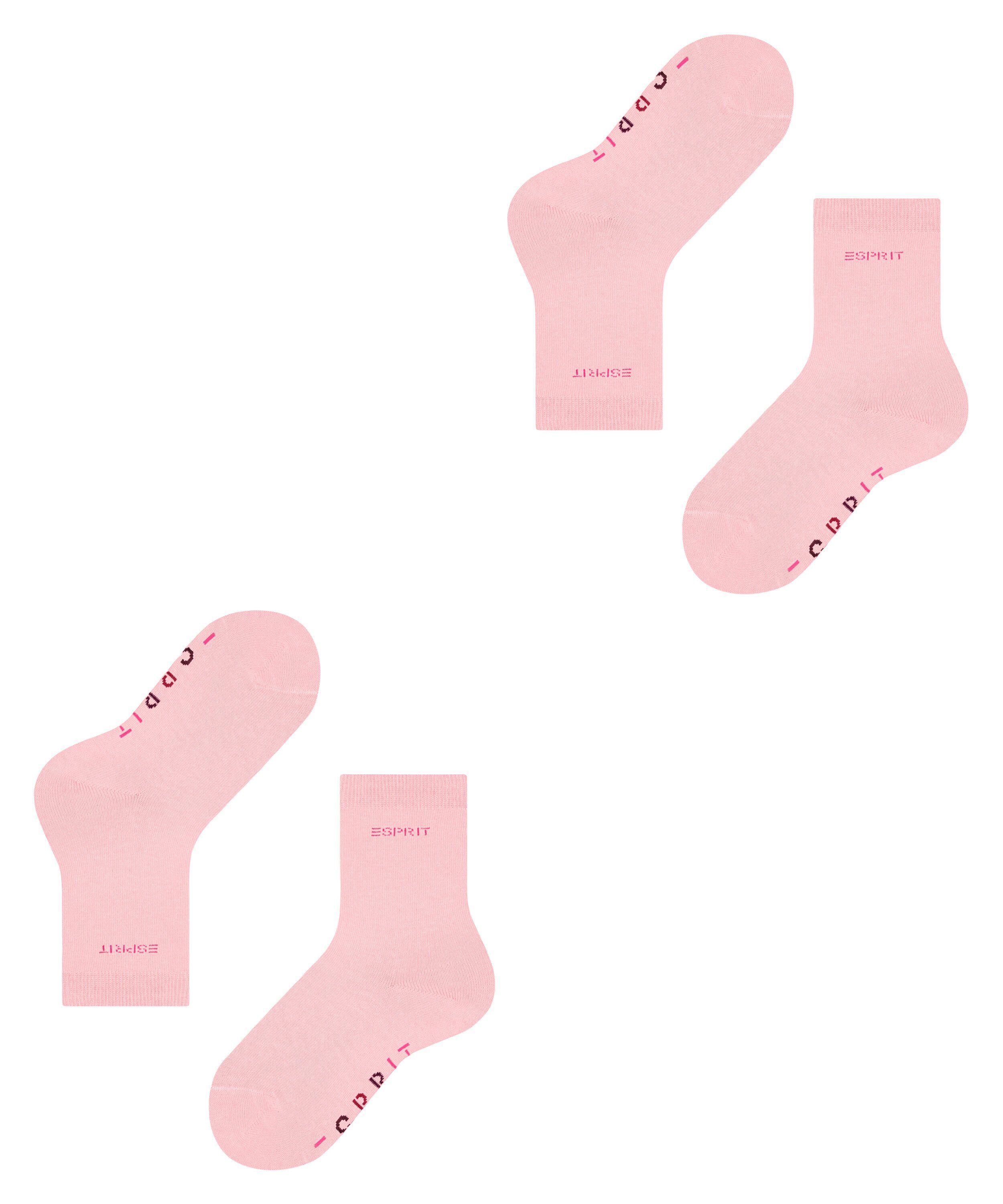 orchid Socken 2-Pack Logo (2-Paar) (8985) Esprit Foot