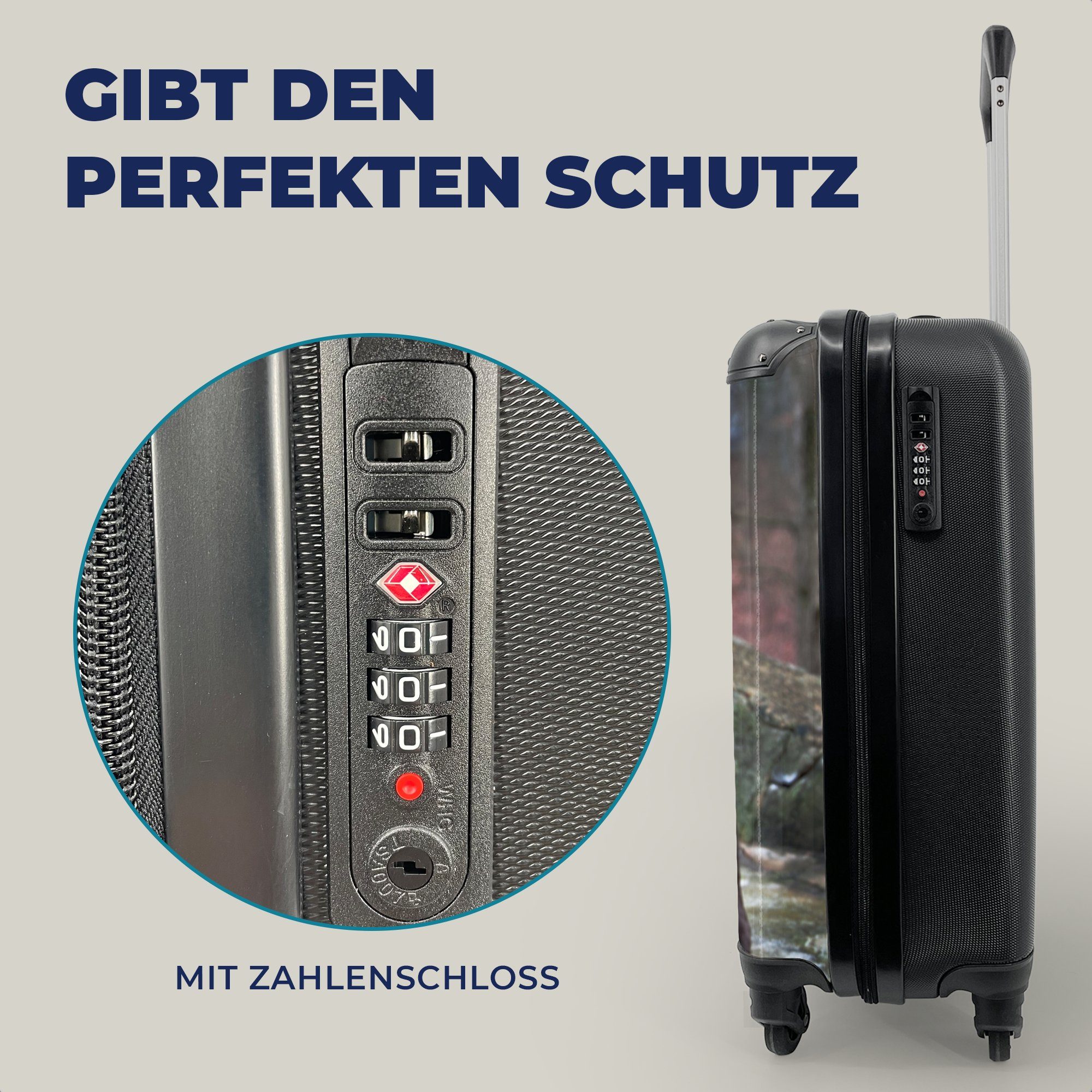 Handgepäckkoffer eines Reisetasche Porträt 4 mit Ein braunen Welpen, Trolley, Handgepäck MuchoWow Rollen, Ferien, Reisekoffer rollen, für