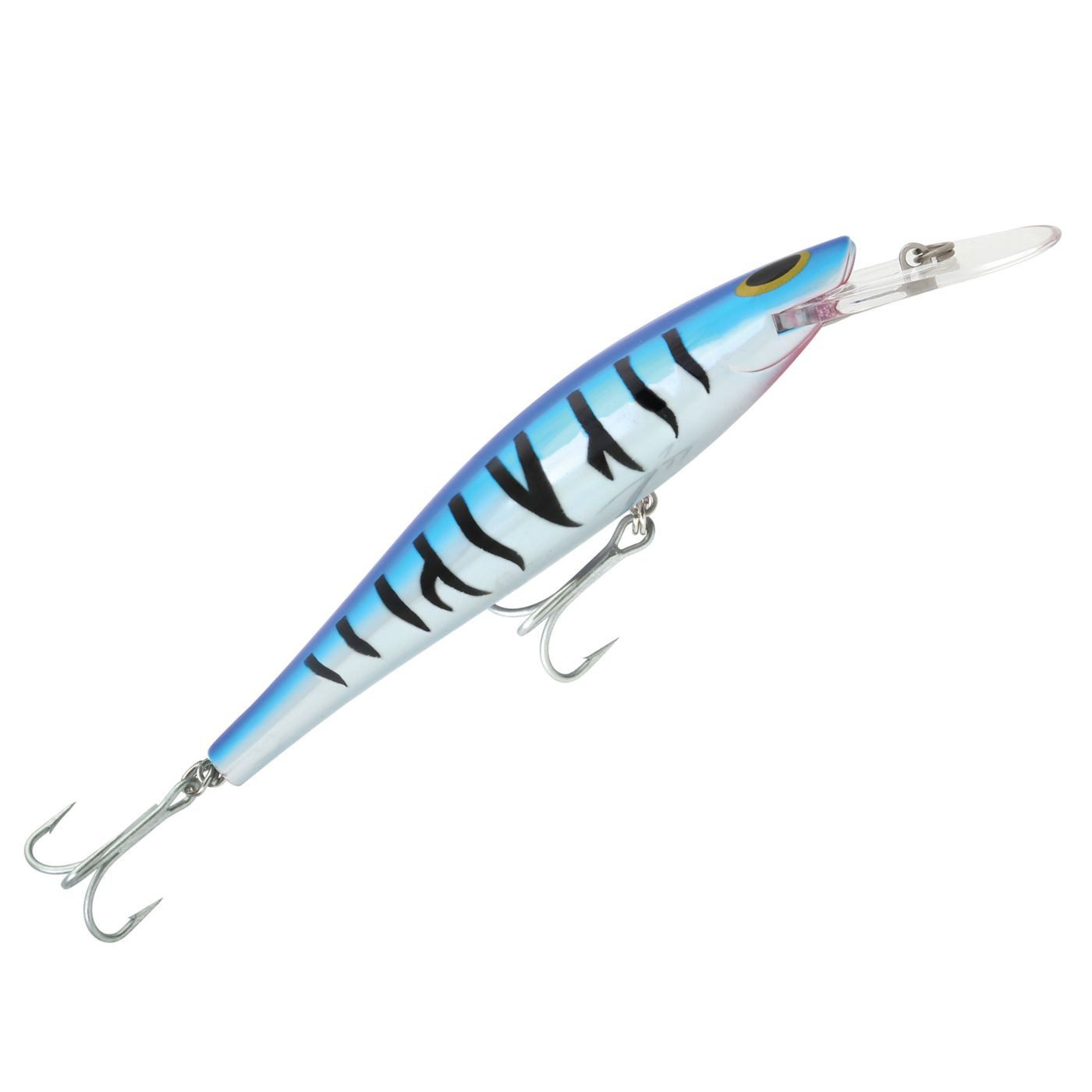 Blue Tiger