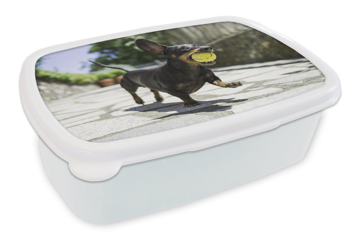 MuchoWow Lunchbox Ein schwarzer Dachshund mit einem Tennisball, Kunststoff, (2-tlg), Brotbox für Kinder und Erwachsene, Brotdose, für Jungs und Mädchen weiß