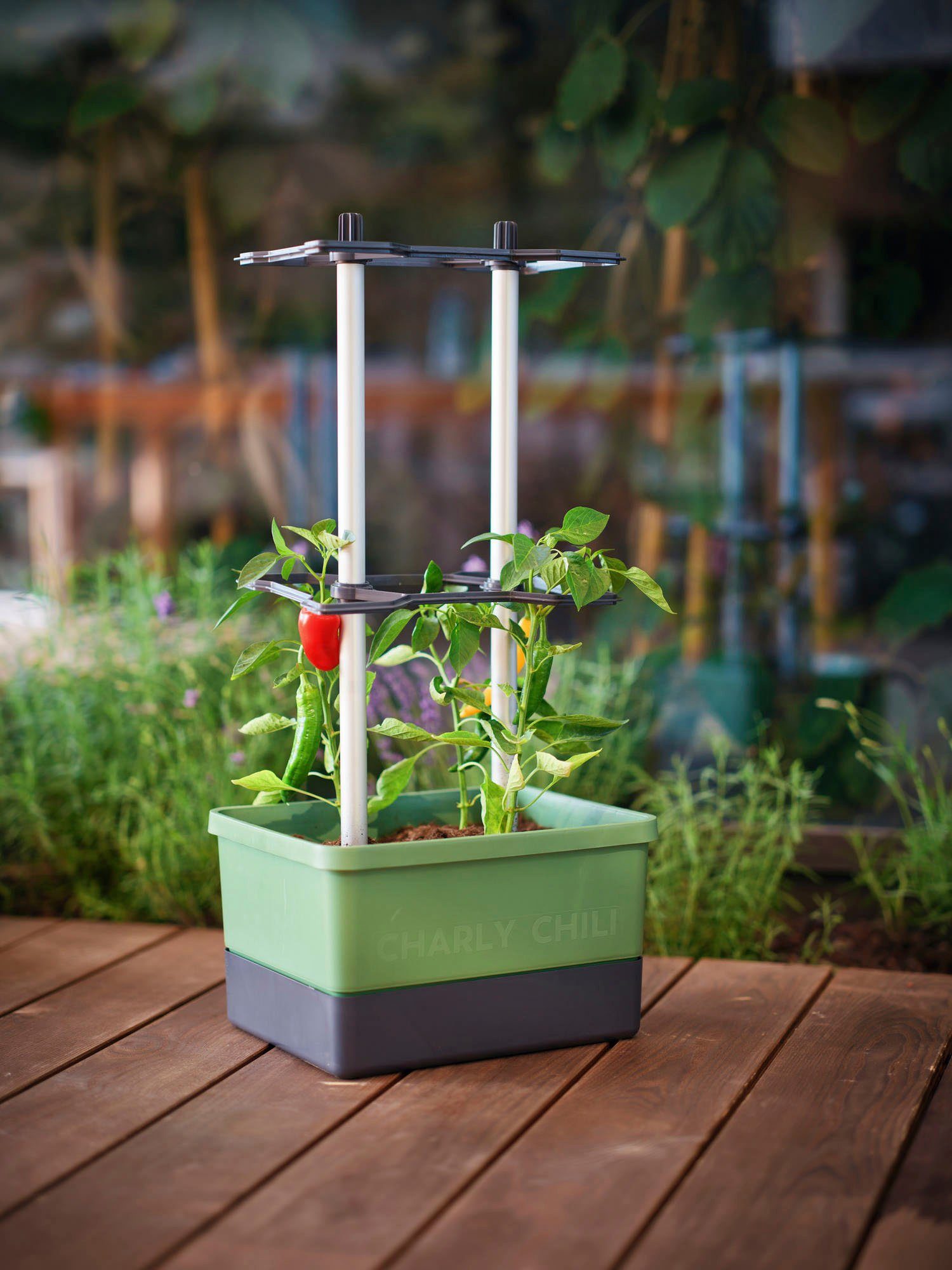Wassertank Chilitopf, Pflanzkübel dunkelgrün Ranksystem CHARLY & Gusta mit Garden CHILI