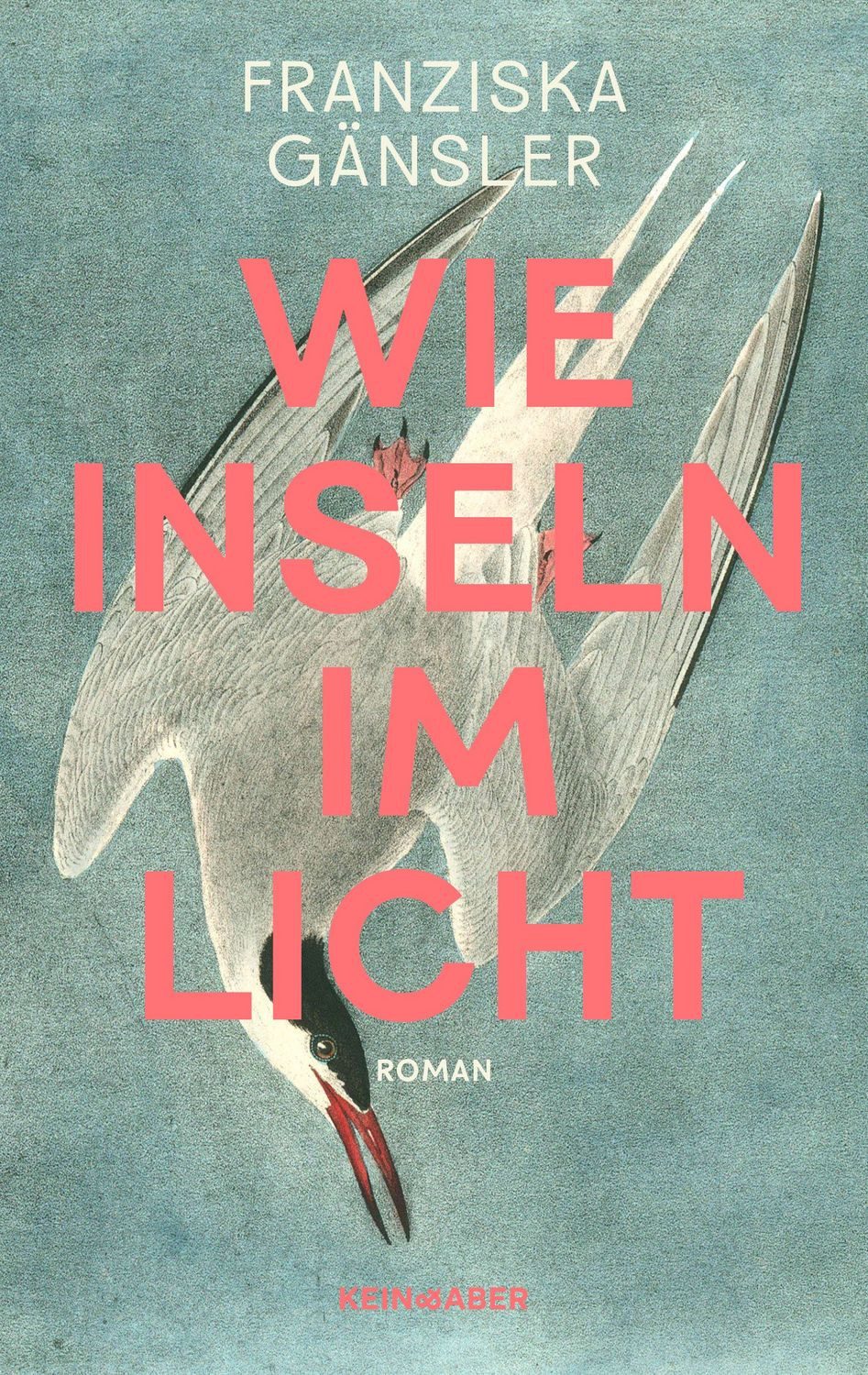 Wie Inseln im Licht / Franziska Gänsler