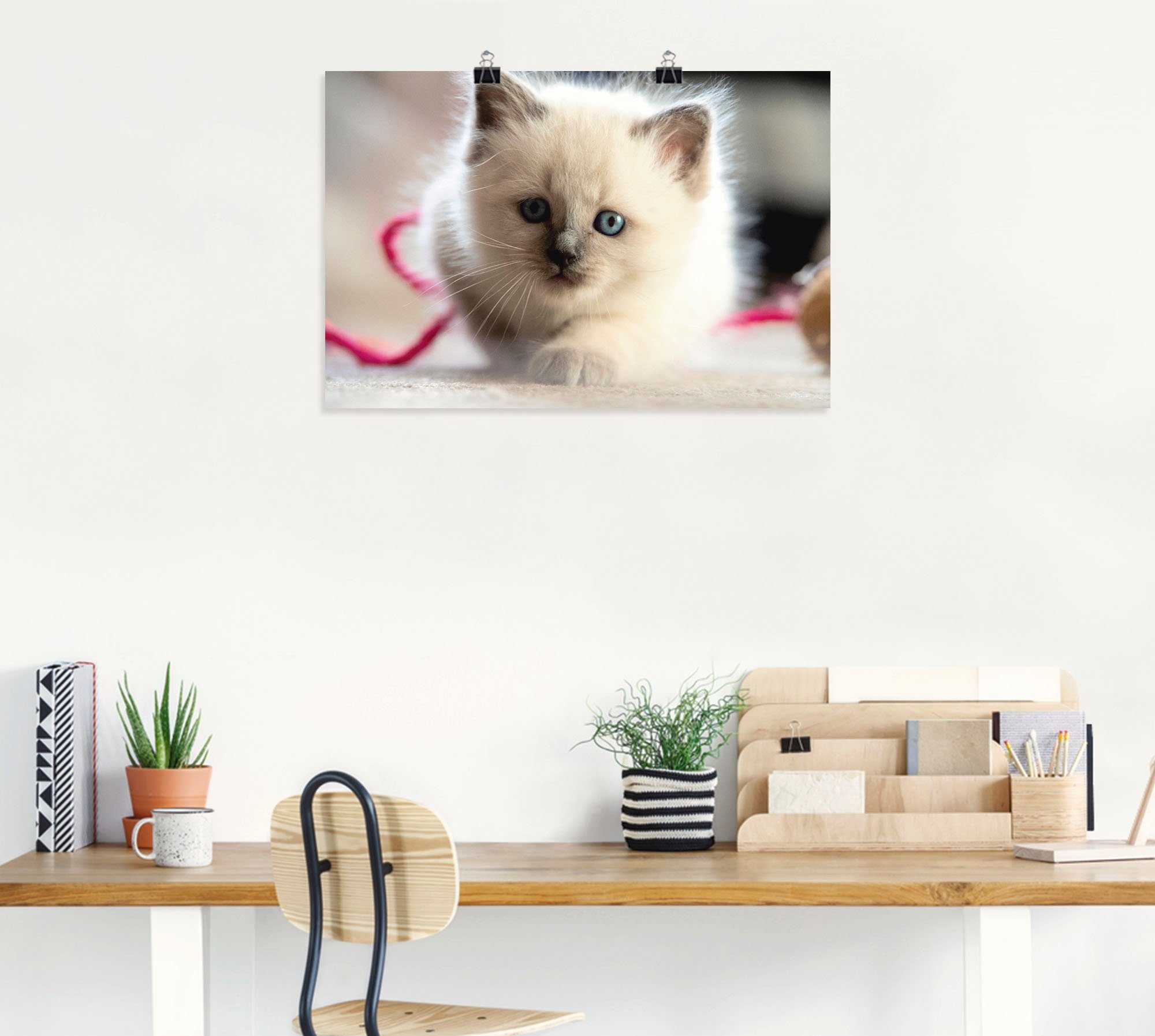 Wandaufkleber Spiel, Größen Poster (1 im St), Artland Alubild, Katzenbilder versch. Katze als Leinwandbild, Birma Heilige oder in Wandbild