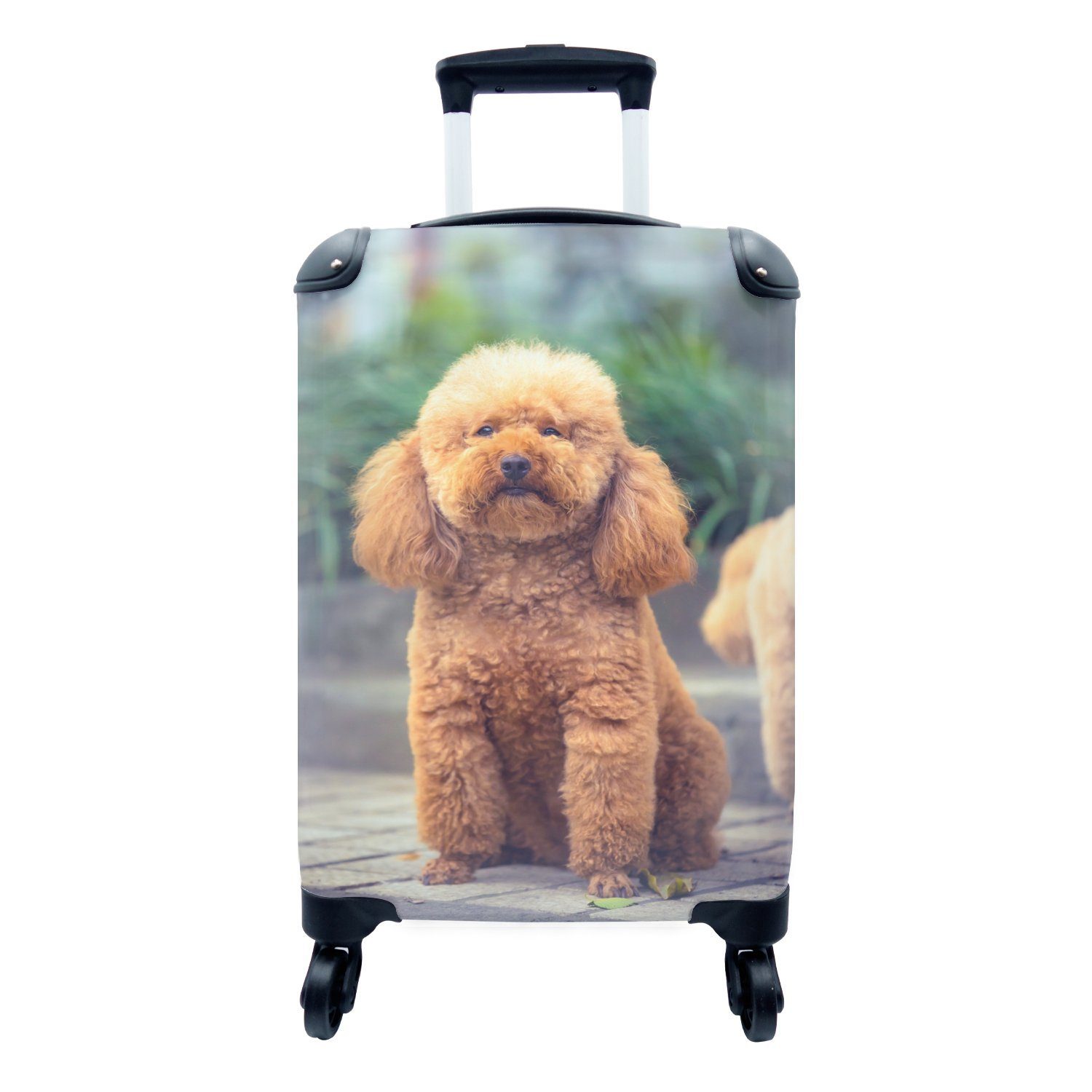 Reisekoffer in Ferien, Brauner mit Handgepäck Reisetasche Hundepark, Trolley, einem 4 Rollen, für Handgepäckkoffer MuchoWow sitzt rollen, Pudel