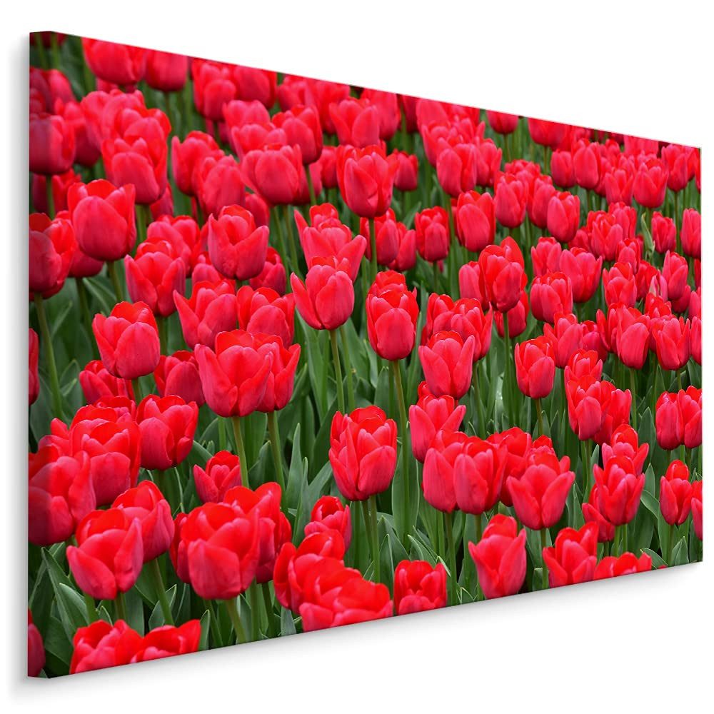 Muralo Leinwandbild Landschaft – Leinwandbild Wandbild Kunstdruck Wohnzimmer, Gewässer (1 St), Natur – Pflanzen – Blumen, 120 x 80 cm, aufhängefertig