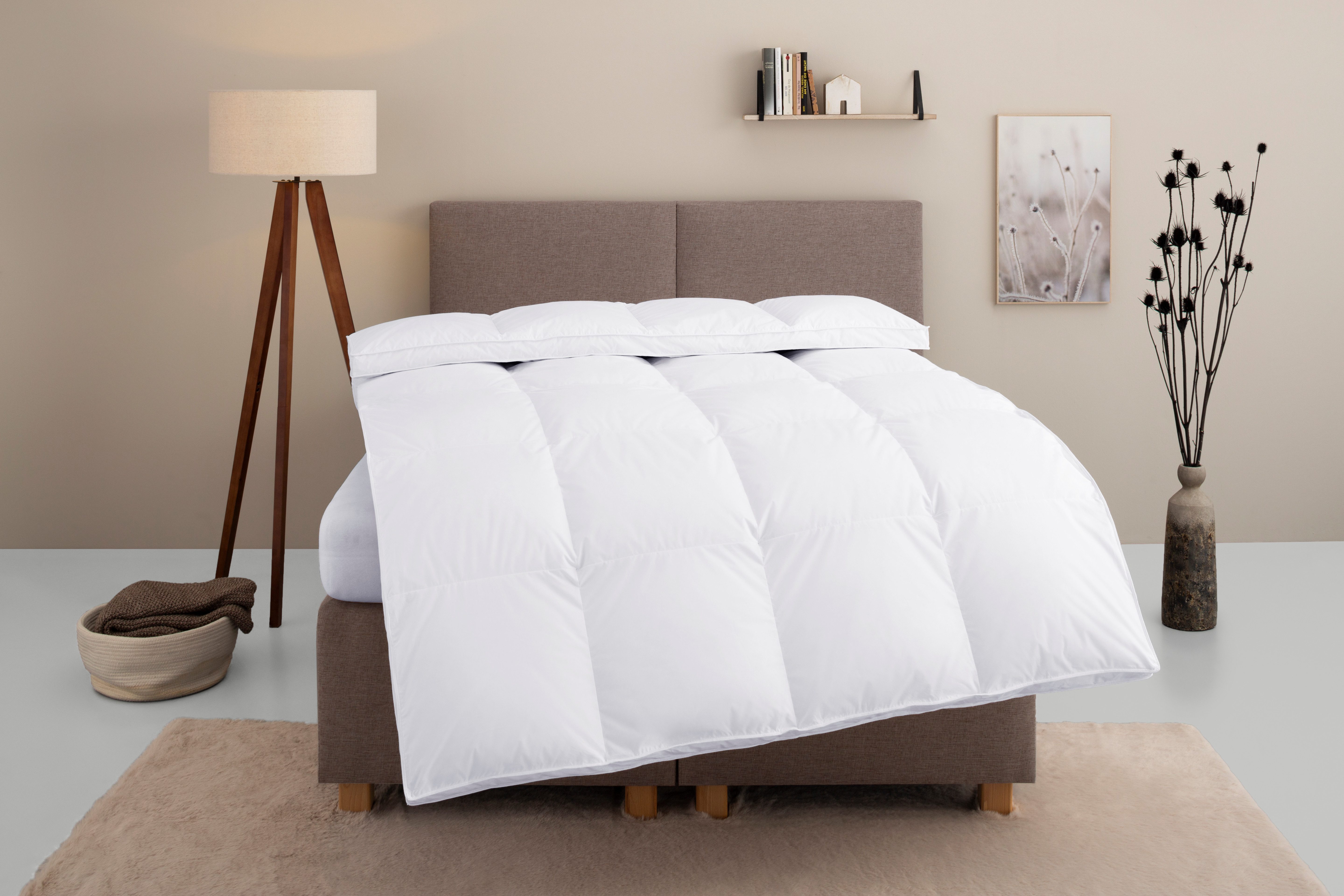 Home affaire Daunenbettdecke Marseilles Bettdecke 135x200 günstig online kaufen
