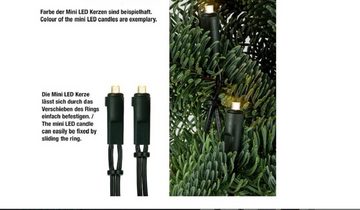 Hellum LED-Lichterkette LED-Lichterkette 50 BS bunt/grün innen