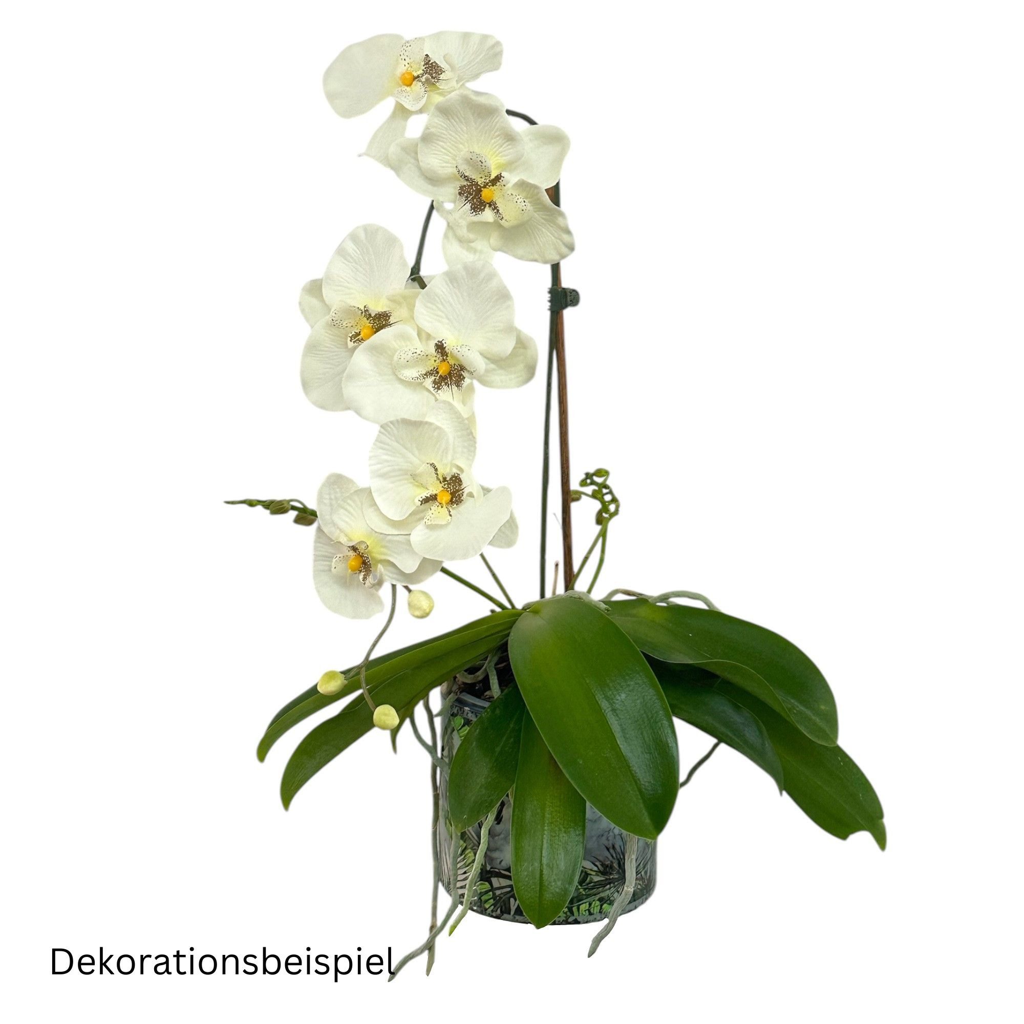 Kunstorchidee Kunstblume, ORCHIDEENZWEIG, Orchidee 78cm, Gasper, Höhe 78.00 cm