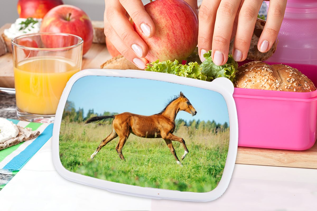 MuchoWow Lunchbox Pferd - Gras Mädchen, Kunststoff Braun, Snackbox, Brotdose für rosa Kinder, Kunststoff, - Erwachsene, (2-tlg), Brotbox