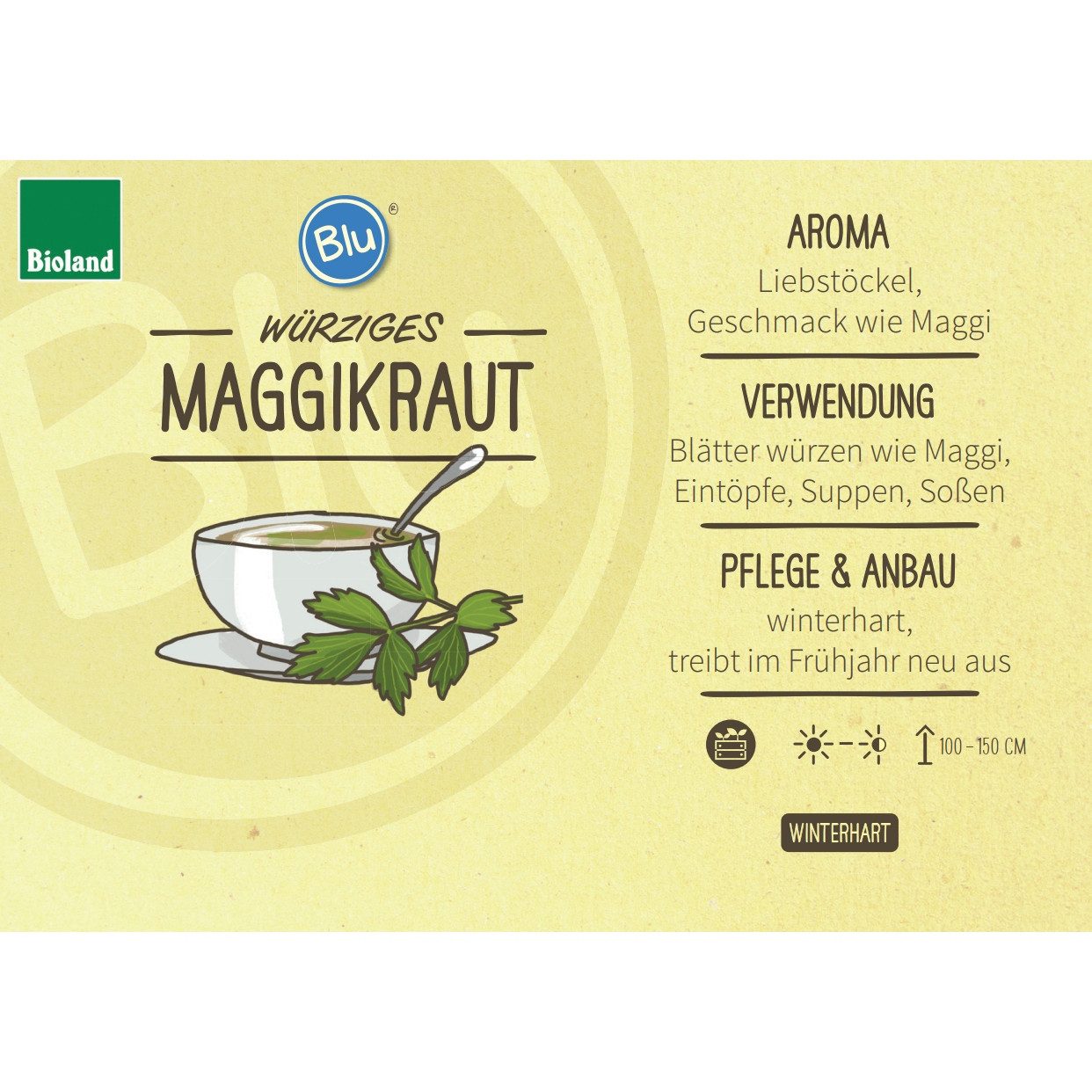 Exotenherz Gewürzkraut Maggikraut Liebstöckel Levisticum officinale Kräuterpflanze 12cm Topf