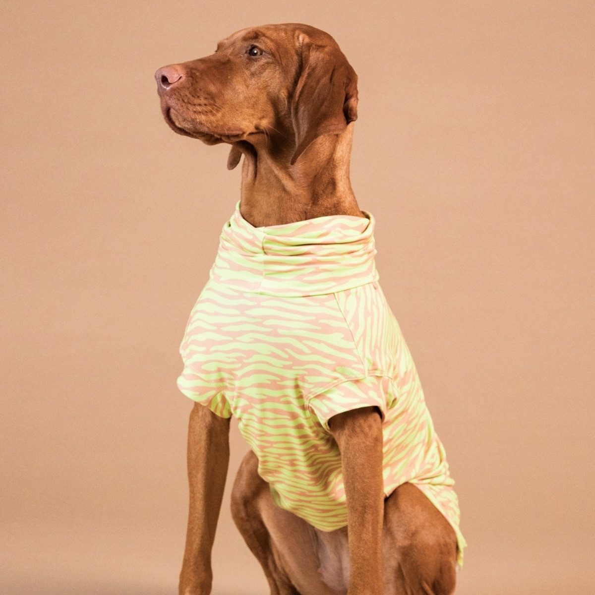 PAIKKA Hundeshirt Hundeshirt Sonnenschutz/Antiparasit "UV & Bug Shirt" matcha
