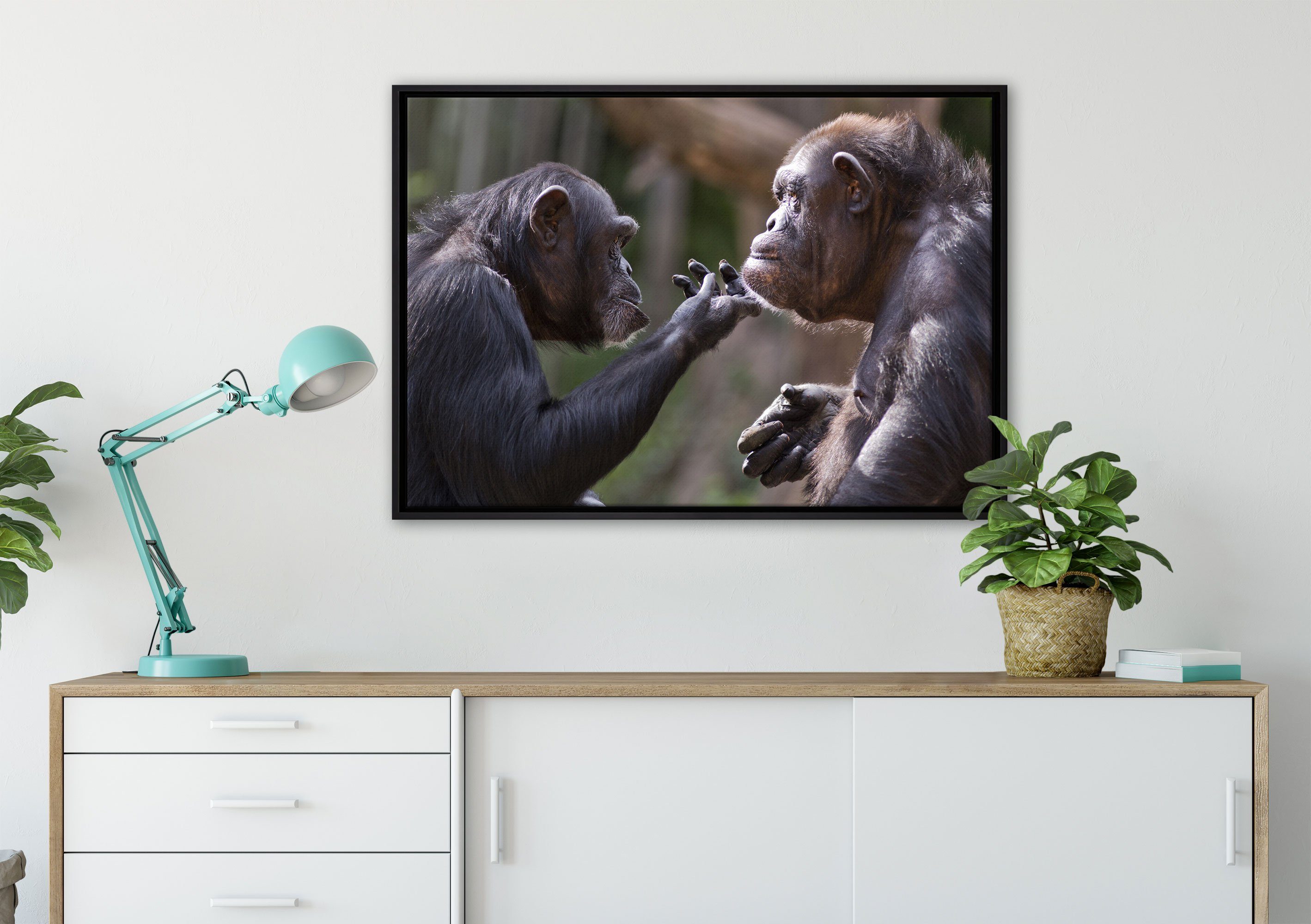 Pixxprint Leinwandbild Schimpansen Freundschaft, bespannt, fertig (1 Zackenaufhänger Wanddekoration inkl. gefasst, Schattenfugen-Bilderrahmen einem Leinwandbild St), in