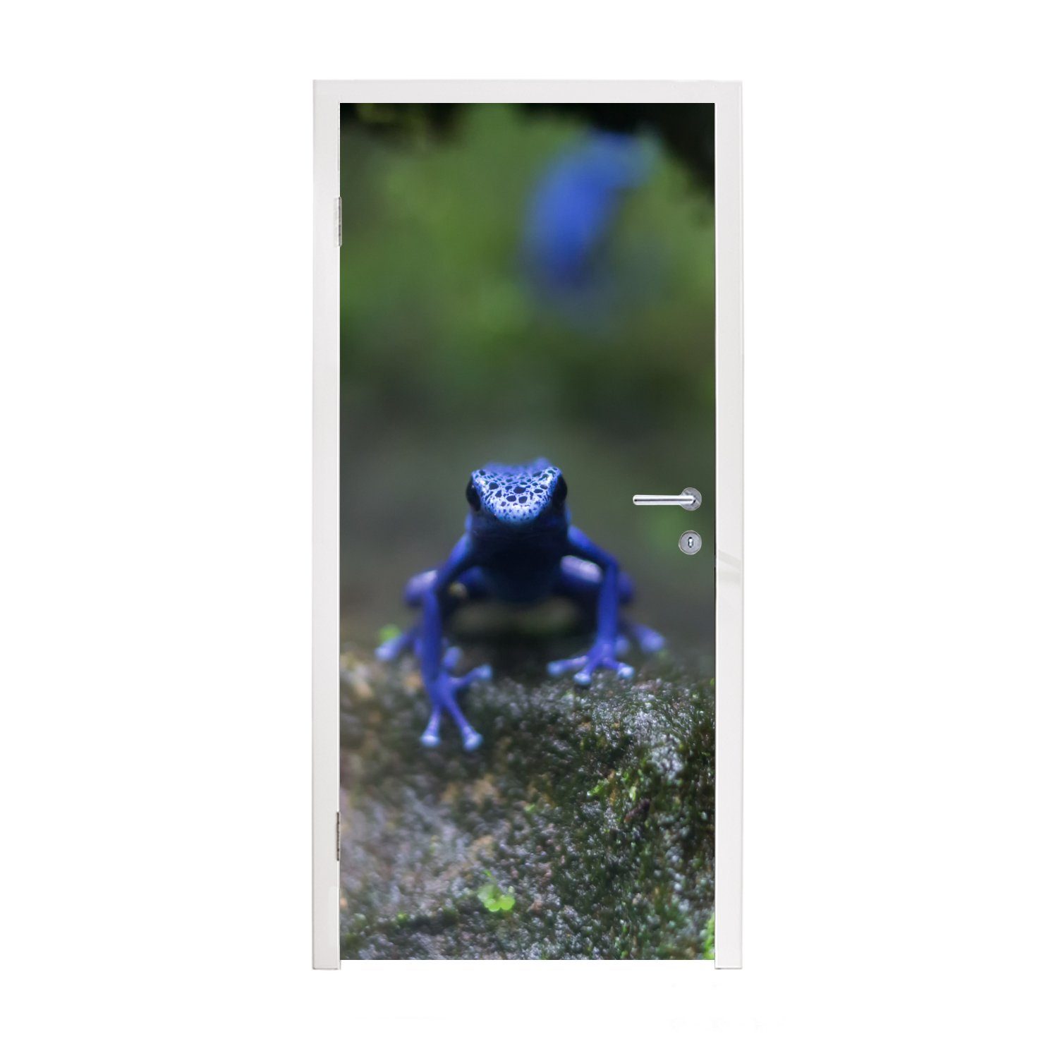 Matt, Dschungel, im Frosch Türaufkleber, bedruckt, St), MuchoWow 75x205 Tür, (1 Blauer cm Türtapete für Fototapete