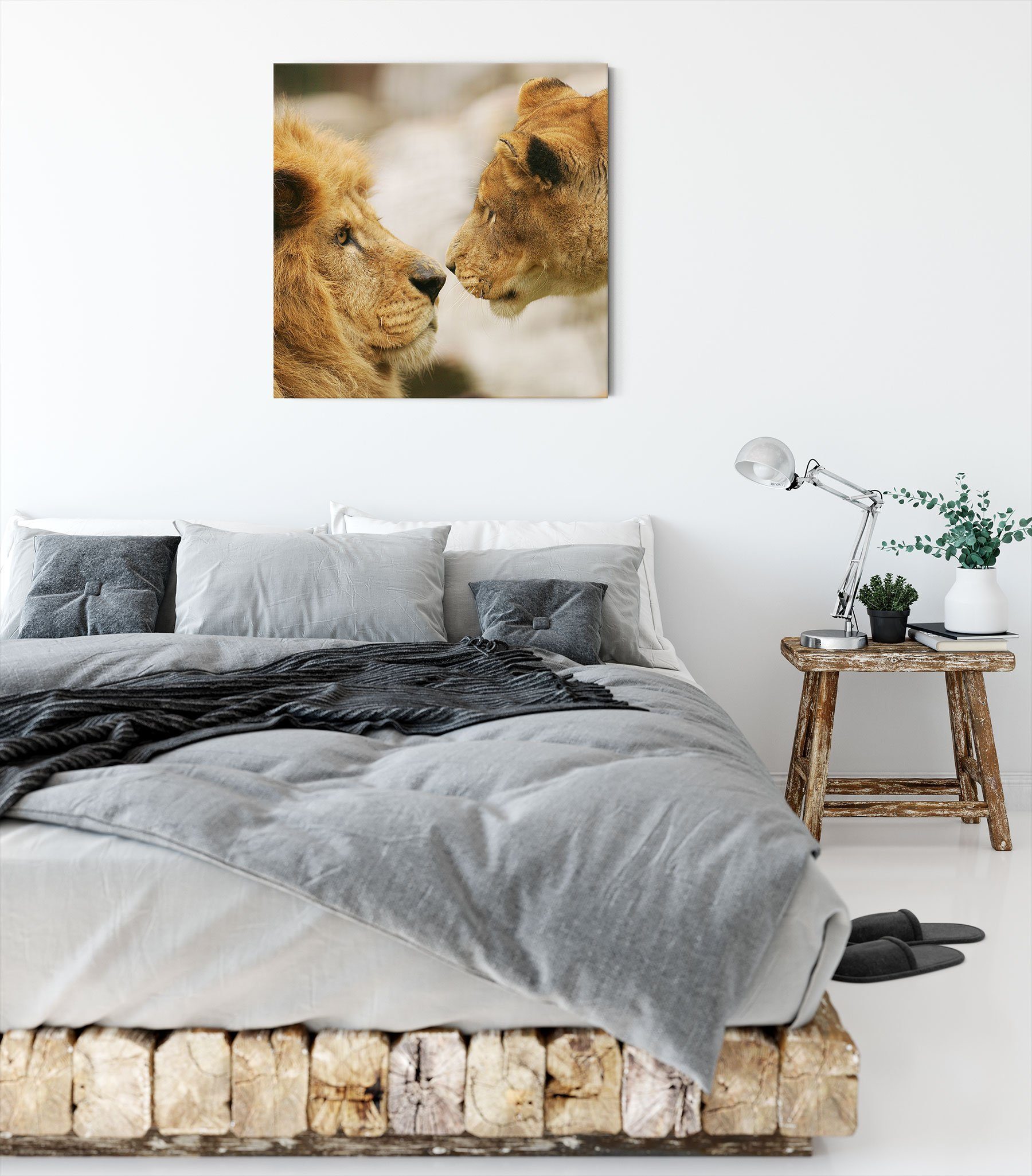 Pixxprint Leinwandbild Leinwandbild Löwenpaar, Verliebtes Zackenaufhänger inkl. St), Verliebtes fertig (1 bespannt, Löwenpaar