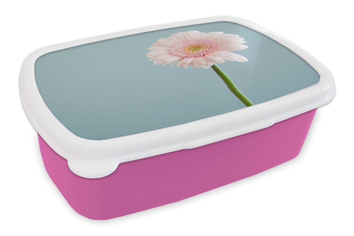 Kunststoff - Brotdose Snackbox, Kunststoff, (2-tlg), Makro, Rosa - Mädchen, für Erwachsene, MuchoWow Blumen Brotbox Kinder, Lunchbox
