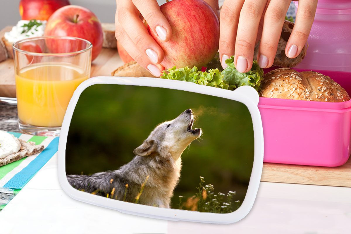 - für MuchoWow Kunststoff Snackbox, Erwachsene, (2-tlg), - Wolf Kunststoff, Kinder, Brotdose Brotbox Lunchbox Wald Mädchen, Natur, rosa