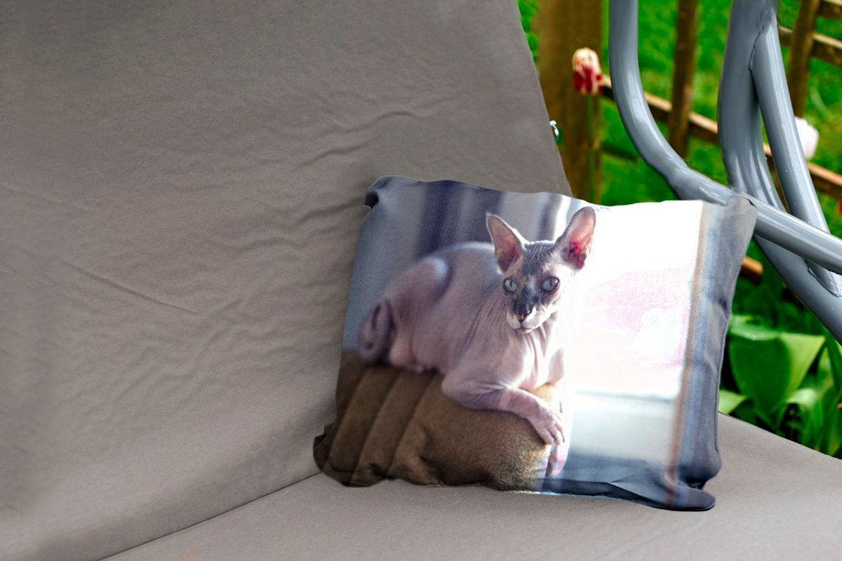 Dekokissen Stuhl Sphynx-Katze Outdoor-Dekorationskissen, auf einem Dekokissenbezug, liegend, Polyester, Kissenhülle MuchoWow