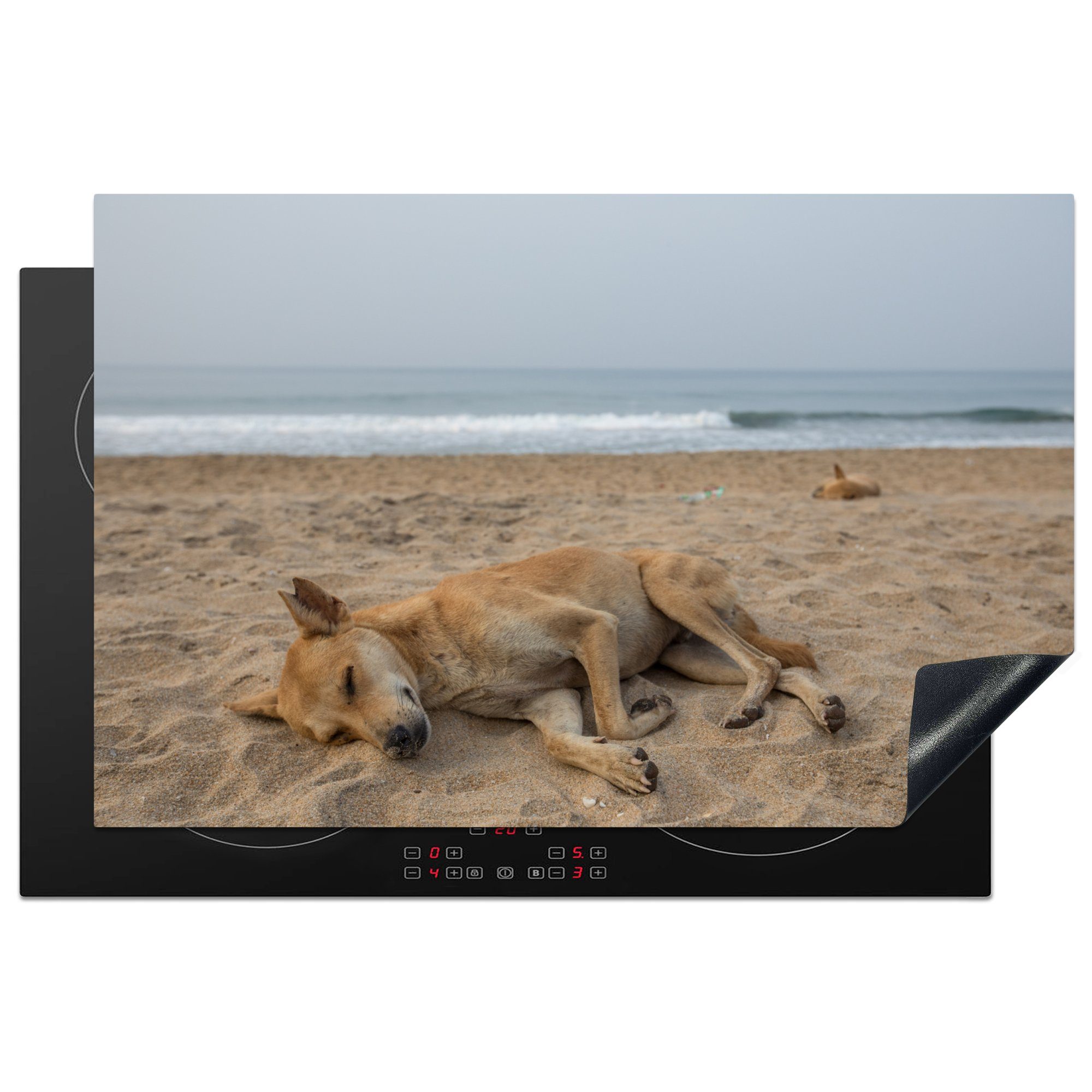 MuchoWow Herdblende-/Abdeckplatte Hunde schlafen am Strand, Vinyl, (1 tlg), 81x52 cm, Induktionskochfeld Schutz für die küche, Ceranfeldabdeckung