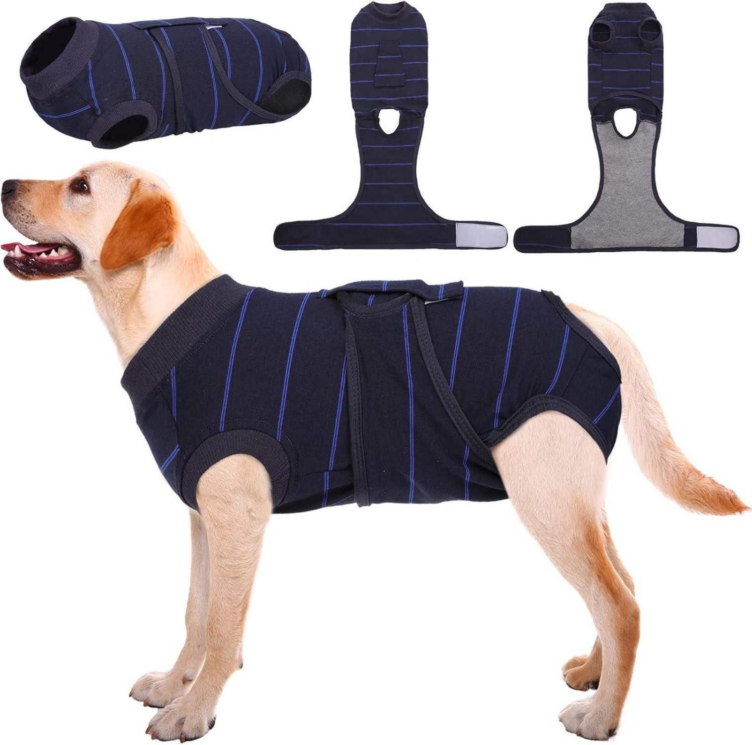 Schutzkragen Hundebody nach Op und