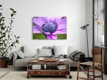 Sinus Art Leinwandbild 120x80cm Wandbild auf Leinwand Blume Blüte Violett Nahaufnahme Kunstvo, (1 St)