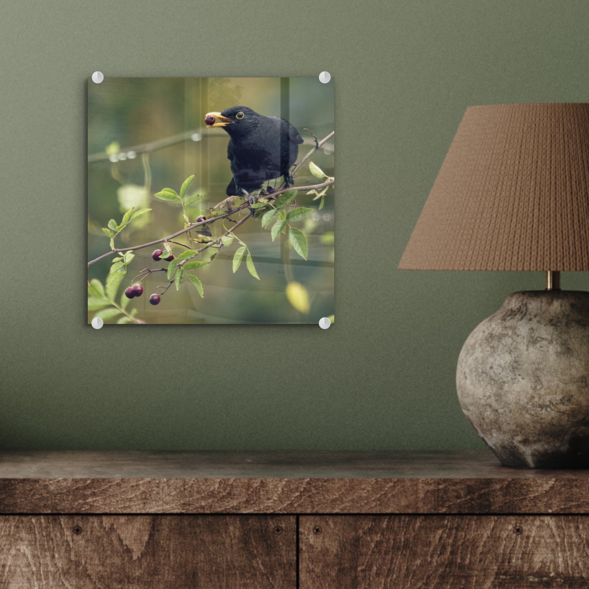 Beere Wandbild Amsel MuchoWow - Acrylglasbild - St), Foto - Wanddekoration Glasbilder auf roter im mit Schnabel, (1 Bilder Glas Glas auf