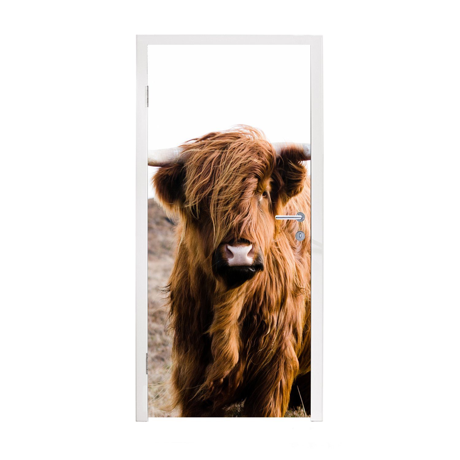 Türaufkleber, Tiere Türtapete Kuh für - - 75x205 MuchoWow bedruckt, - Natur, (1 Tür, St), Braun - Highlander cm - Matt, Fototapete Landschaft Schottische