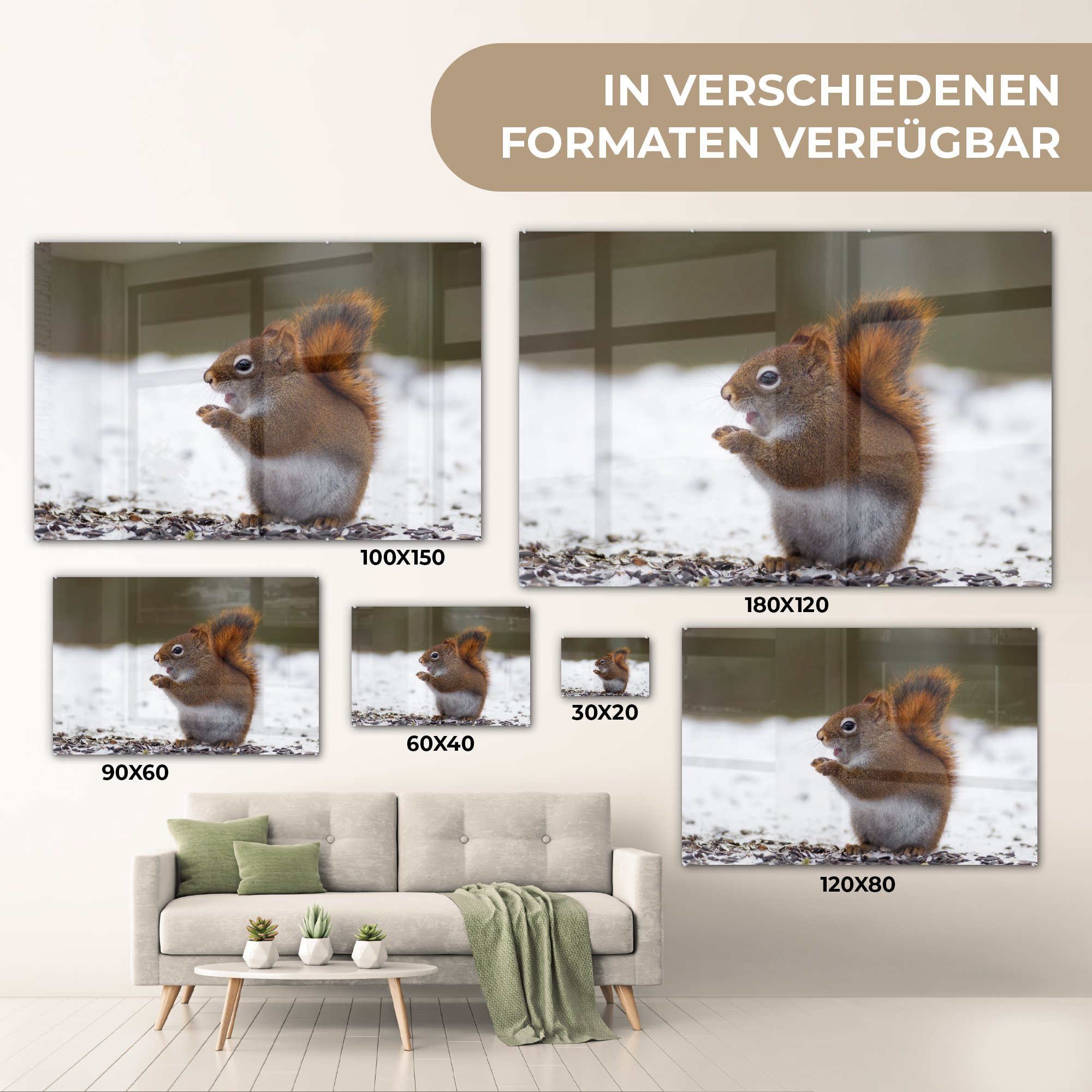 Winter, Schnee - - Schlafzimmer Acrylglasbild Acrylglasbilder (1 Tier St), MuchoWow - & Eichhörnchen Wohnzimmer