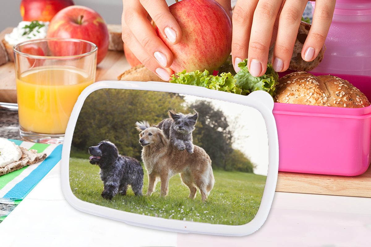 Mädchen, - Gras, Erwachsene, MuchoWow (2-tlg), Hund für Lunchbox Brotbox Snackbox, Brotdose Kunststoff rosa Park - Kunststoff, Kinder,