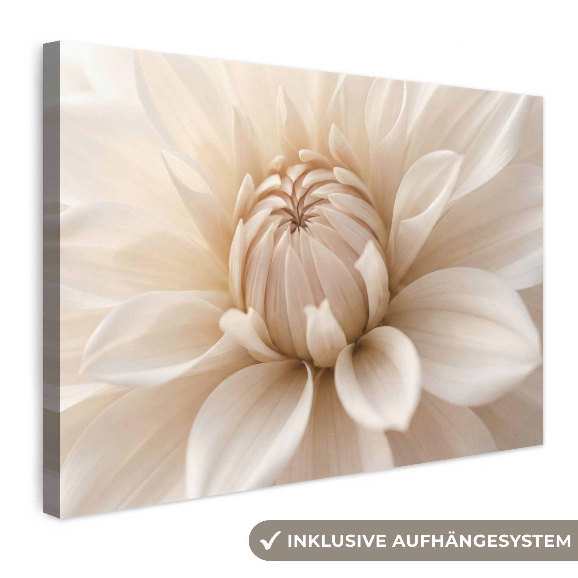 OneMillionCanvasses® Leinwandbild Blume - Dahlie - Weiß, Fotodruck (1 St), Leinwand Bilder Klein, Wand Dekoration Aesthetic 30x20 cm