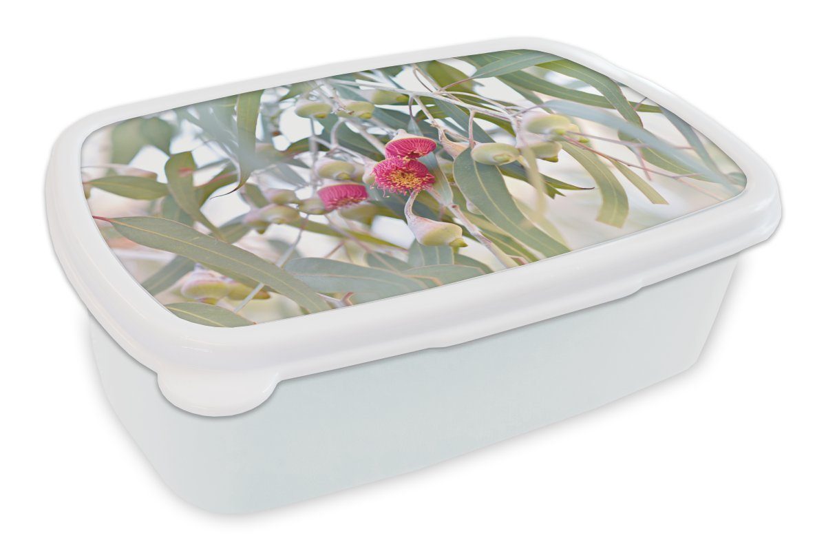 MuchoWow Lunchbox Rosa Eukalyptusblüten inmitten der Blätter, Kunststoff, (2-tlg), Brotbox für Kinder und Erwachsene, Brotdose, für Jungs und Mädchen weiß