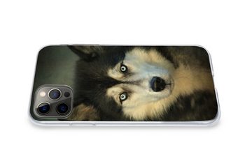 MuchoWow Handyhülle Husky schaut in die Kamera, Handyhülle Apple iPhone 12 Pro, Smartphone-Bumper, Print, Handy