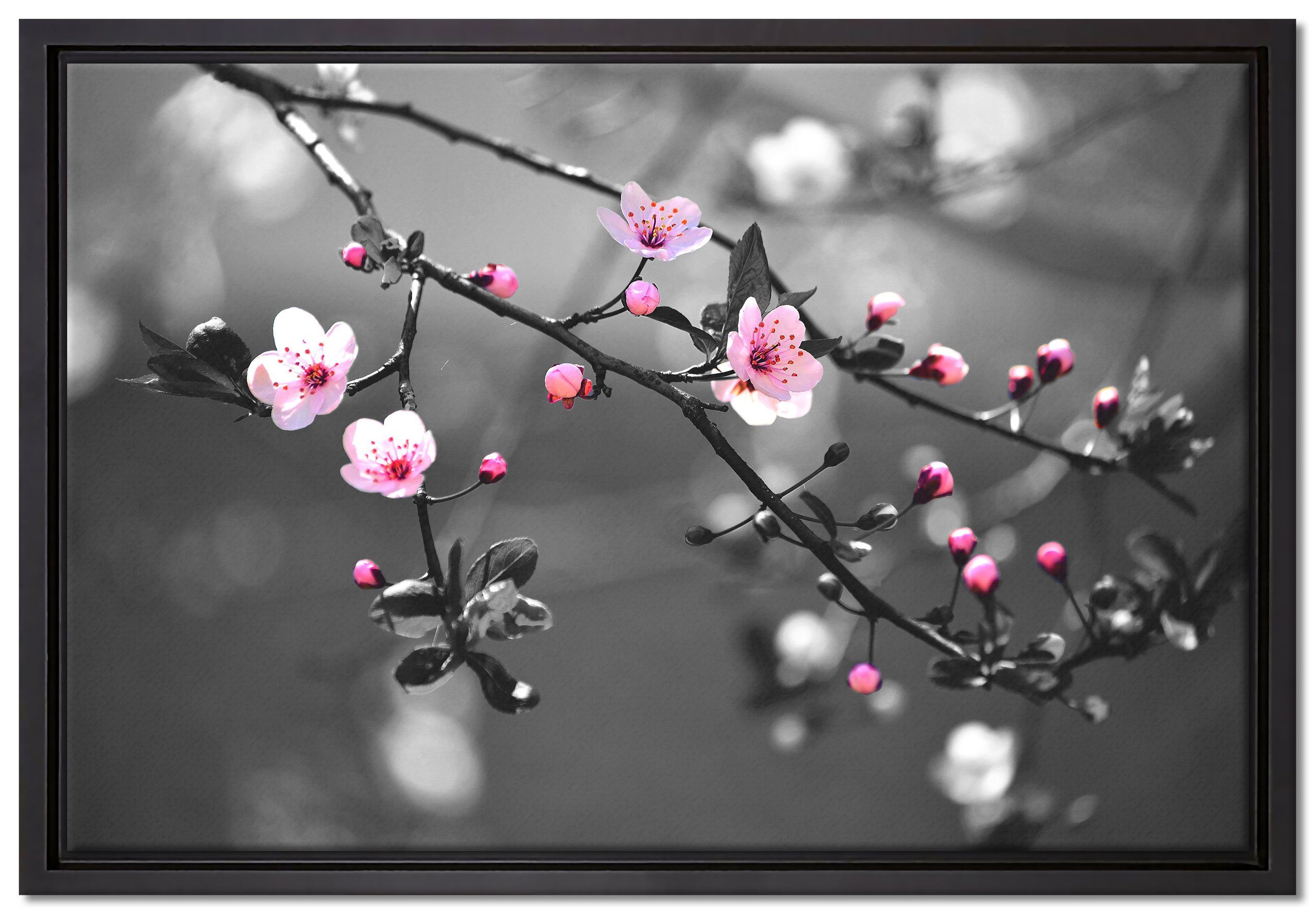 Pixxprint Leinwandbild Exotische Sakura Blüten, Wanddekoration (1 St), Leinwandbild fertig bespannt, in einem Schattenfugen-Bilderrahmen gefasst, inkl. Zackenaufhänger