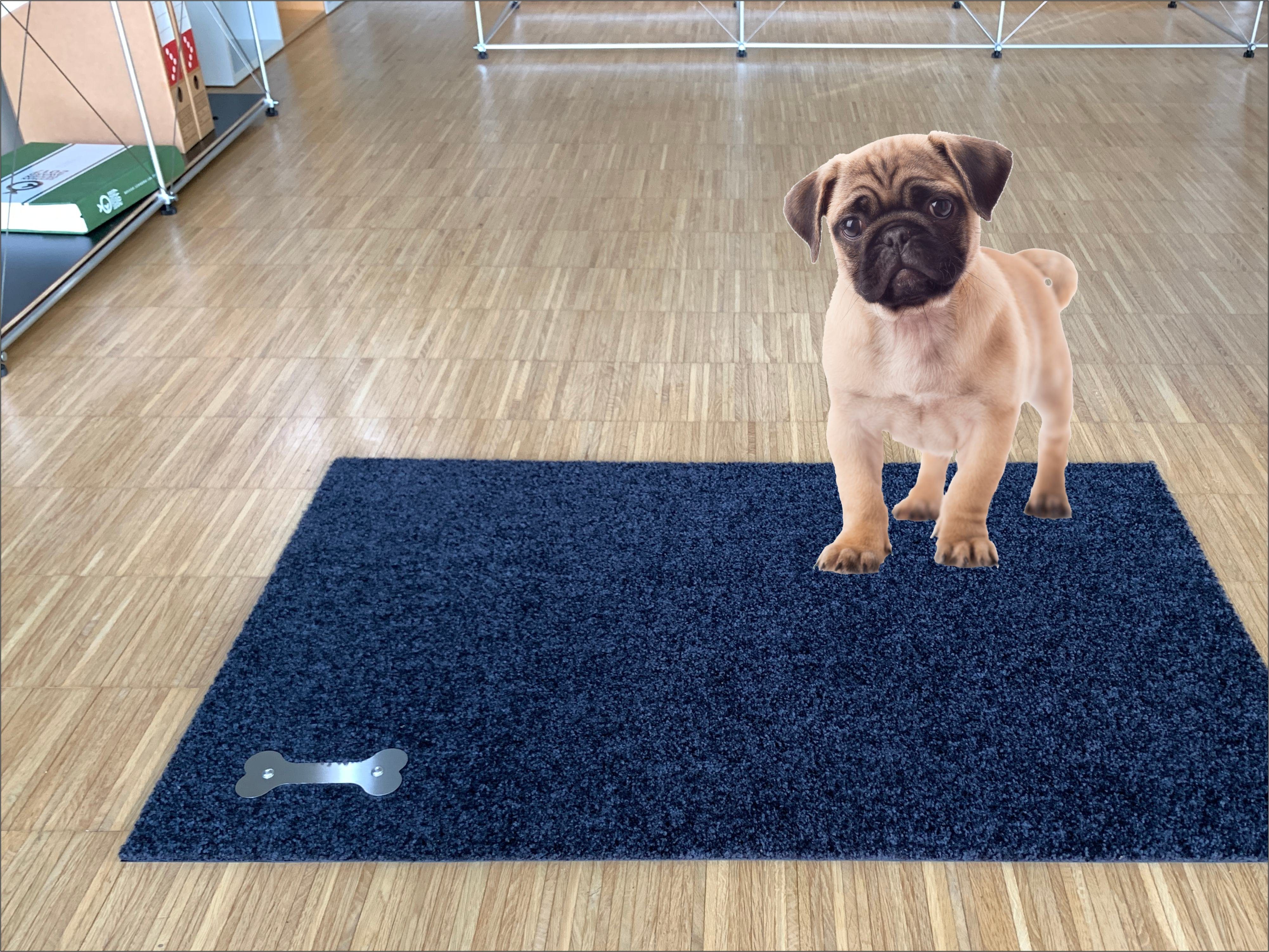 Keilbach Designprodukte Fußmatte picoBELLO.dog 87 x 57 cm, rechteckig, Höhe günstig online kaufen