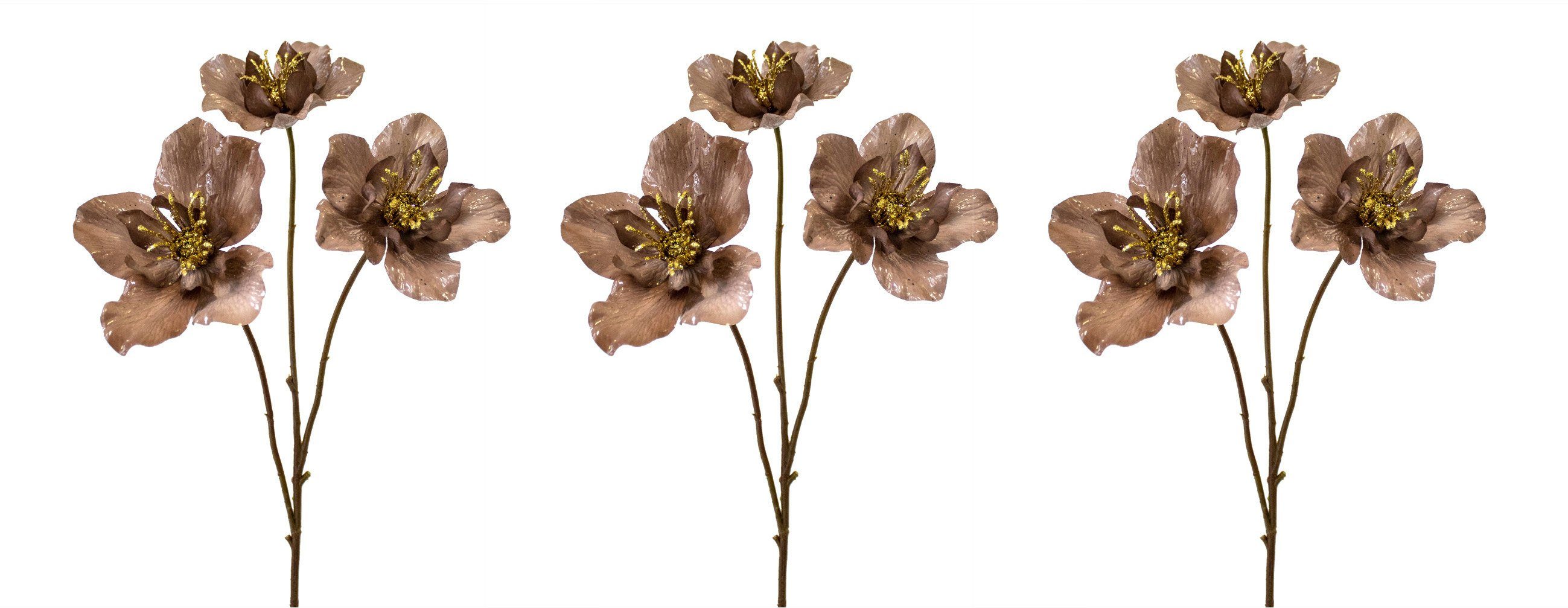 Winterliche Kunstpflanze Weihnachtsdeko Christrose, Creativ green, Höhe 56 cm, Zweig in metallic-Optik, im 3er-Set, braun