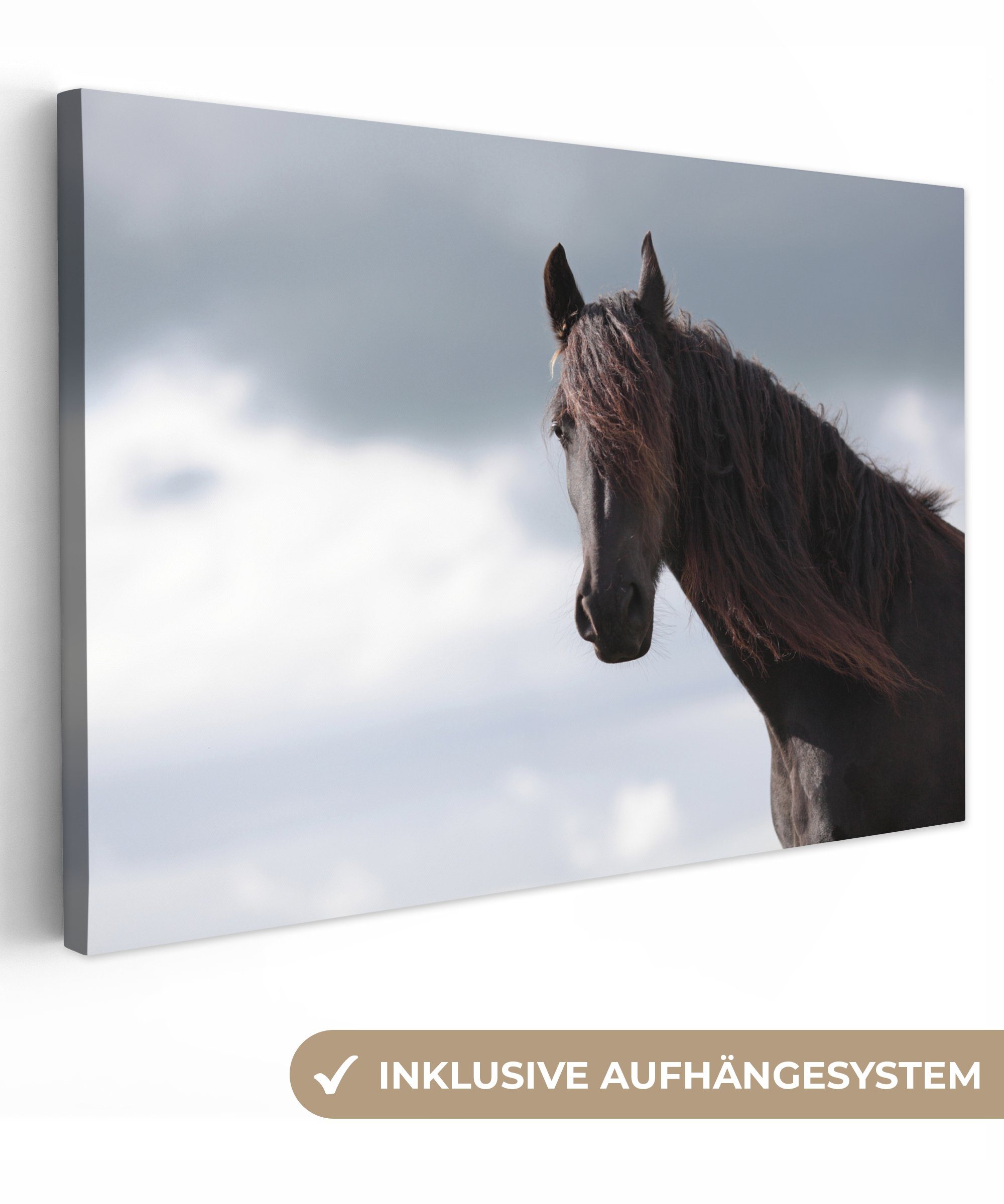 OneMillionCanvasses® Leinwandbild Pferde - Luft - Porträt, (1 St), Wandbild Leinwandbilder, Aufhängefertig, Wanddeko, 30x20 cm bunt