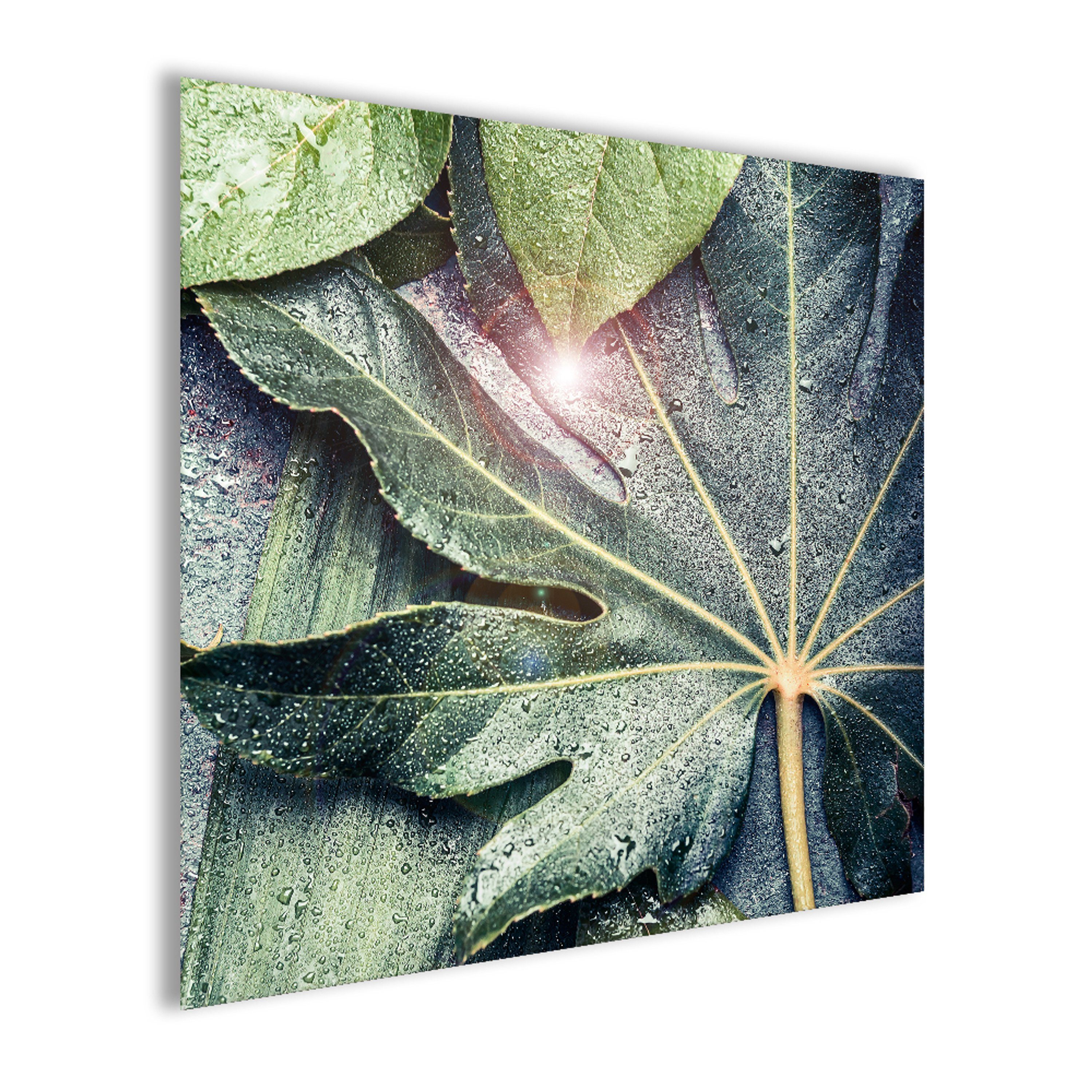 Tropical, Natur: Glasbild Natur grün Blatt Pflanzen Bild 30x30cm Glasbild Tropische artissimo