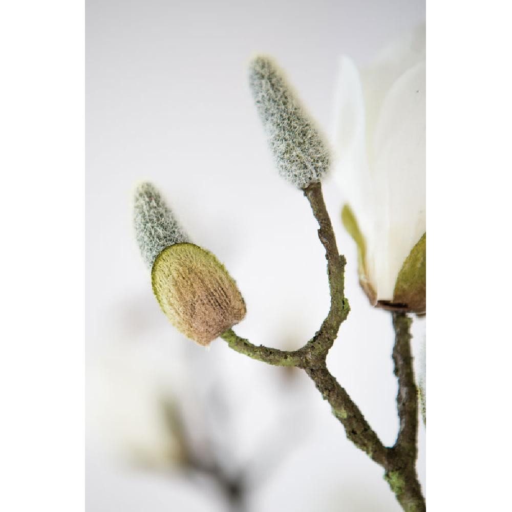 Künstliche Zimmerpflanze künstlicher Magnolienzweig Weiss (82cm), Fink günstig online kaufen