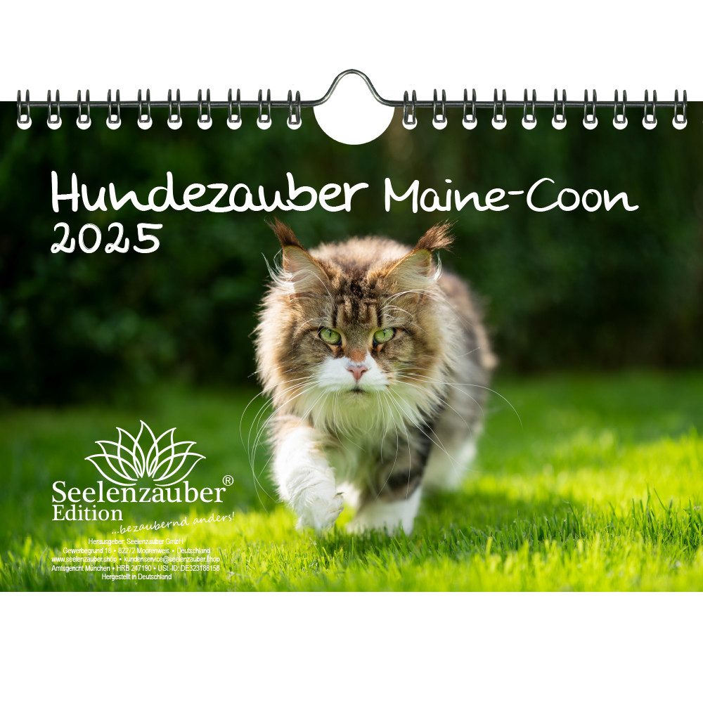 Seelenzauber Wandkalender Katzenzauber Maine-Coon DIN A5 Kalender für 2025 Katzen