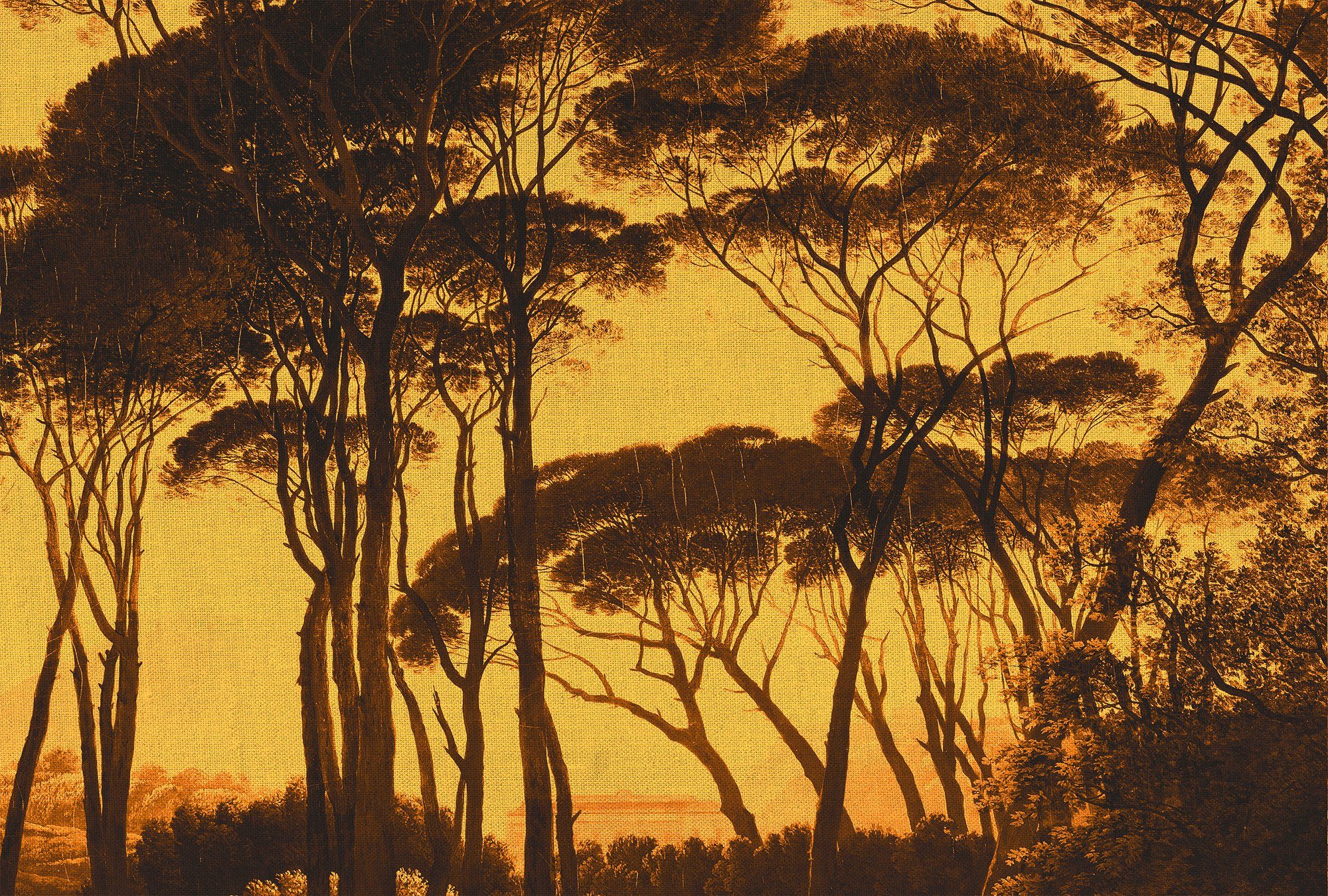 Architects Paper Fototapete Atelier 47 Treetops 2, glatt, Wald, (4 St), Vlies, Wand, Schräge, Decke