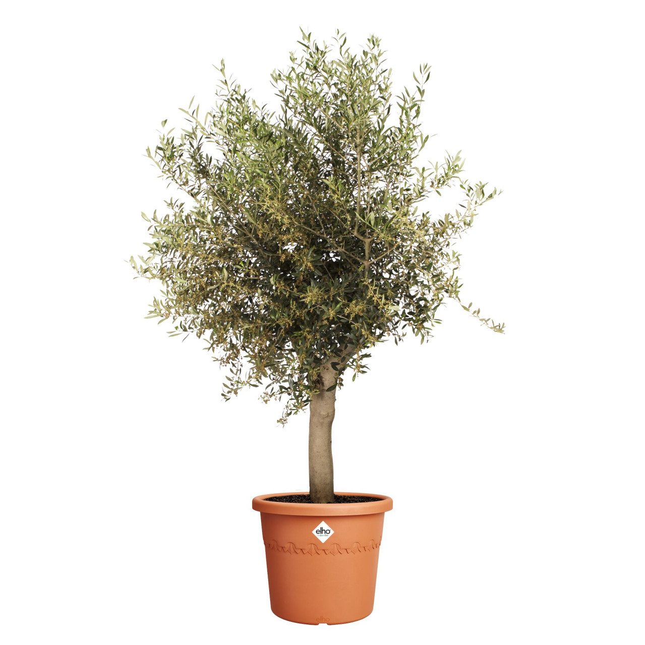 Elho Pflanzkübel Elho Blumentopf Algarve Cilindro Ø 48 x 40 cm