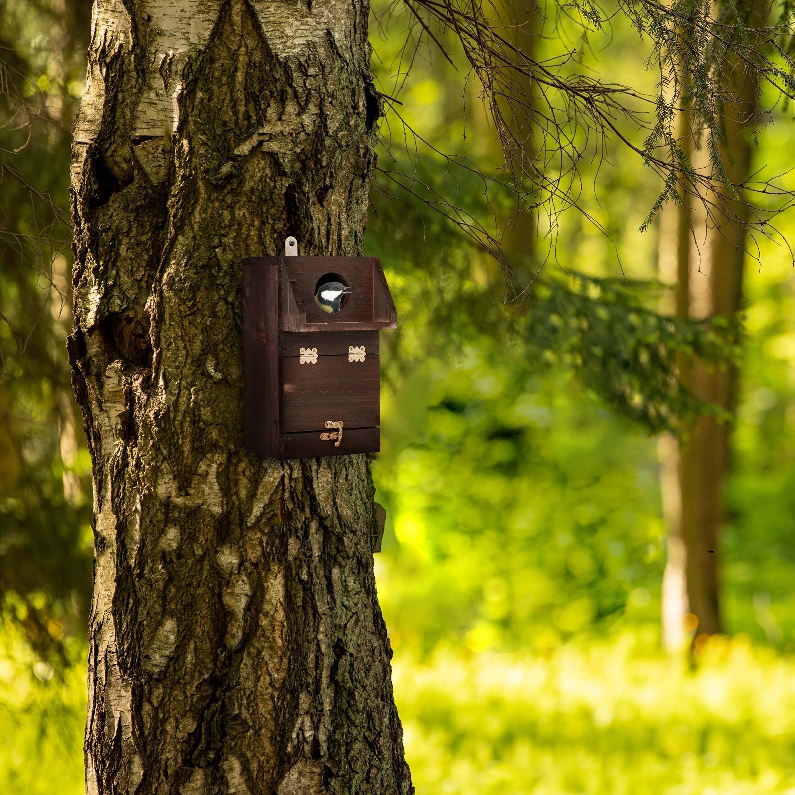 relaxdays Vogelhaus Nistkasten mit Reinigungsklappe
