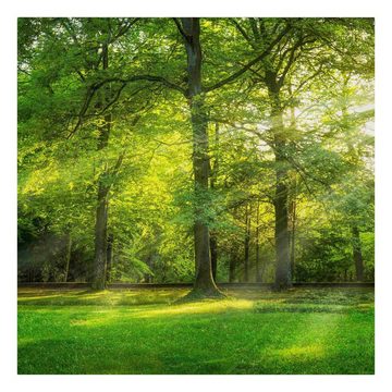 Bilderdepot24 Leinwandbild Kunstdruck Natur Spaziergang Wald grün Bild auf Leinwand Groß XXL, Bild auf Leinwand; Leinwanddruck in vielen Größen