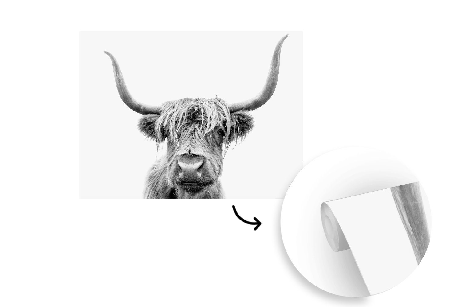 MuchoWow Fototapete - - Kuh Weiß, St), bedruckt, Schottischer - Kinderzimmer, Wohnzimmer, Schwarz Schlafzimmer, Vinyl (6 Wallpaper Tapete Highlander Matt, für