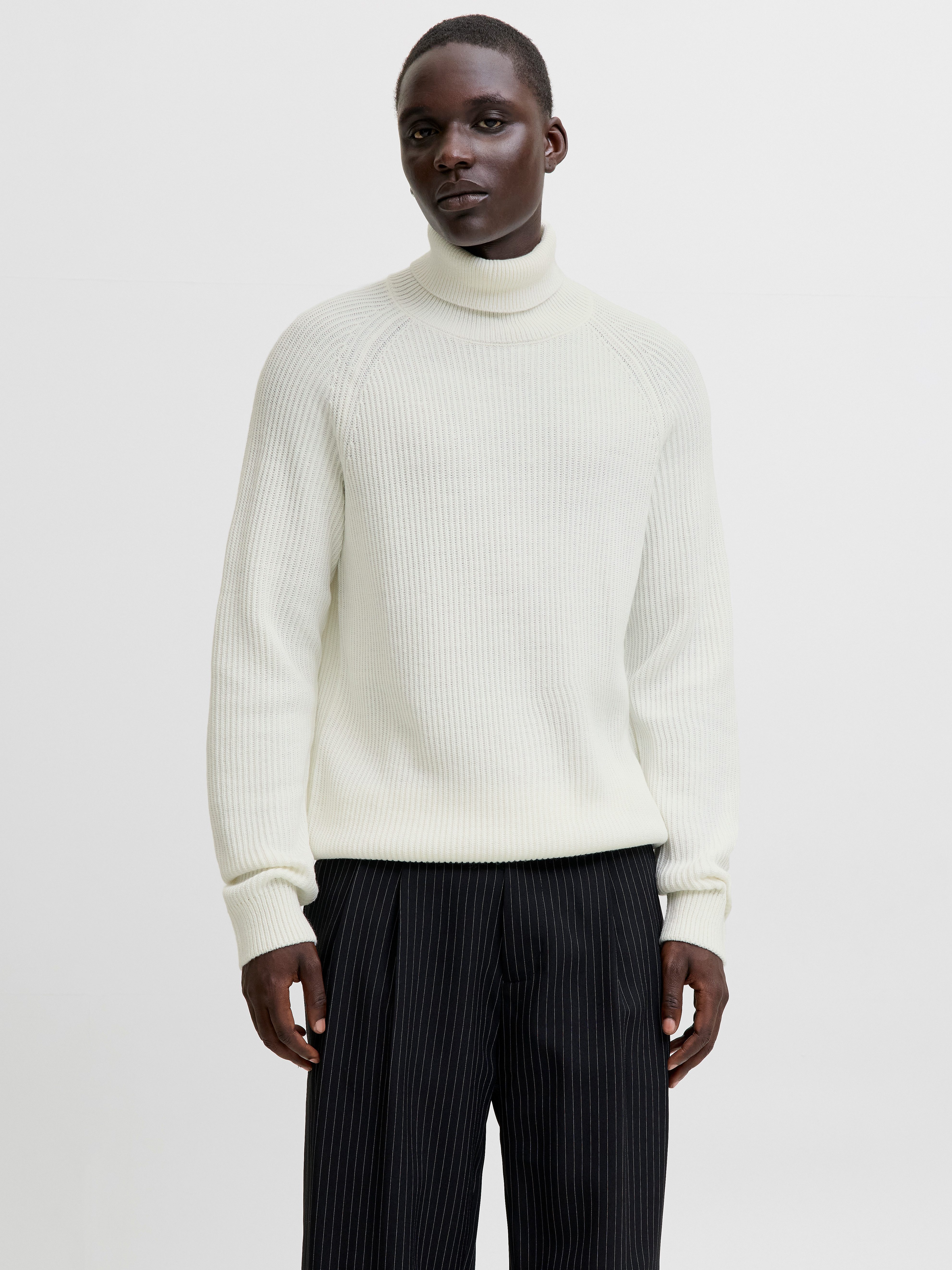 Jack & Jones Rollkragenpullover JJPANNEL KNIT günstig online kaufen