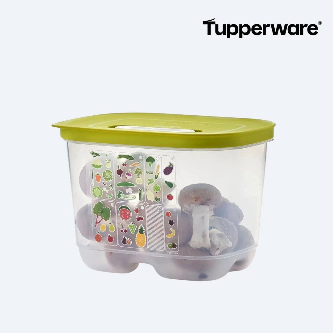 TUPPERWARE Frischhaltedose KlimaOase 1,8 l hoch