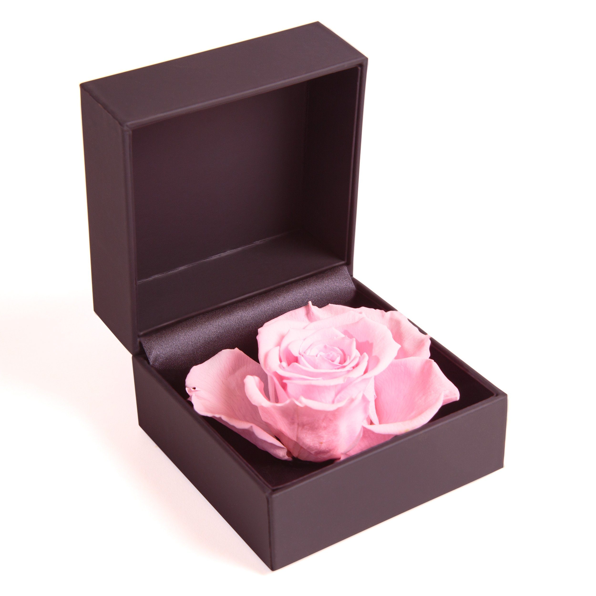 Kunstblume Rosenbox Ringbox Groß Infinity Rose konserviert in Box Ringdose Rose, ROSEMARIE SCHULZ Heidelberg, Höhe 9 cm, Langlebige Rose Rosa